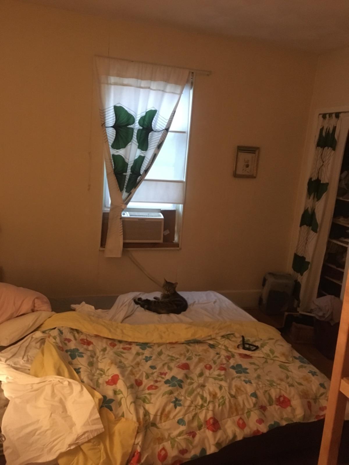 55 Newbern Ave, South Medford