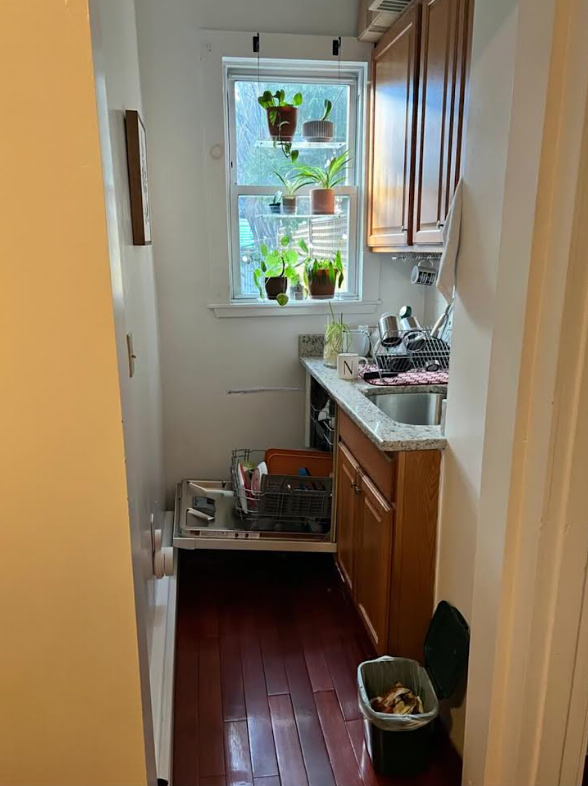 103 Sciarappa St, East Cambridge