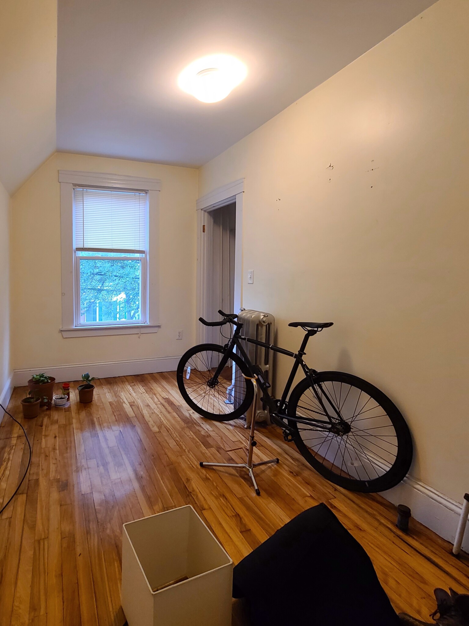 120 Walnut St, Winter Hill