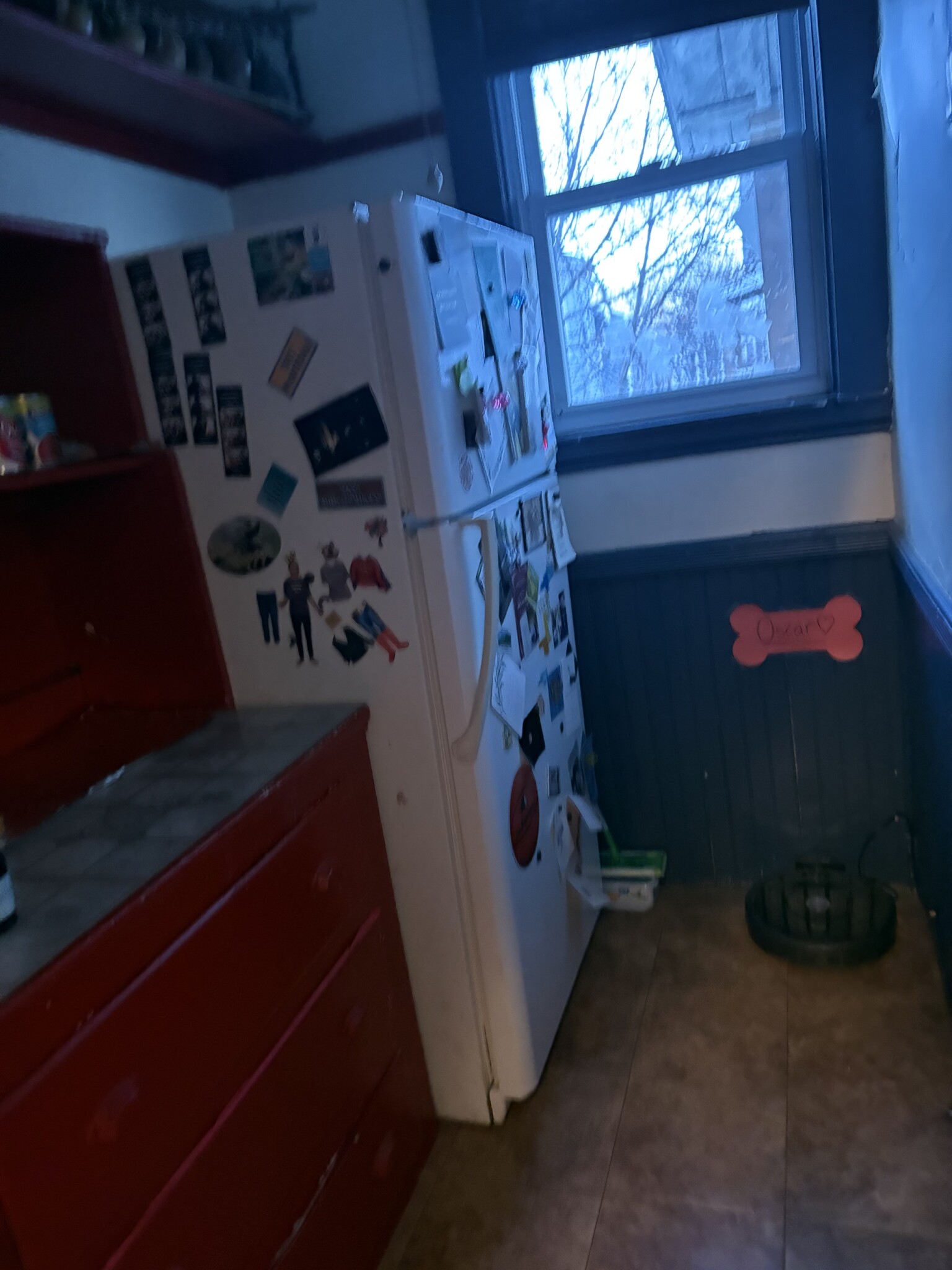 55 Newbern Ave, South Medford