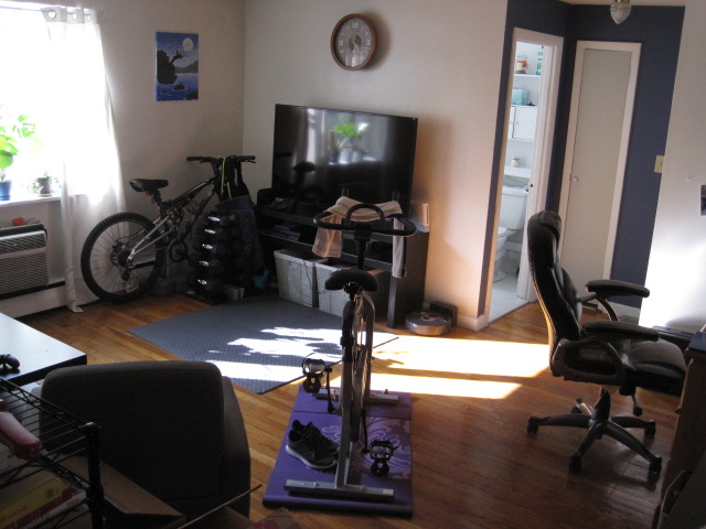 55 Colborne Rd, Brighton