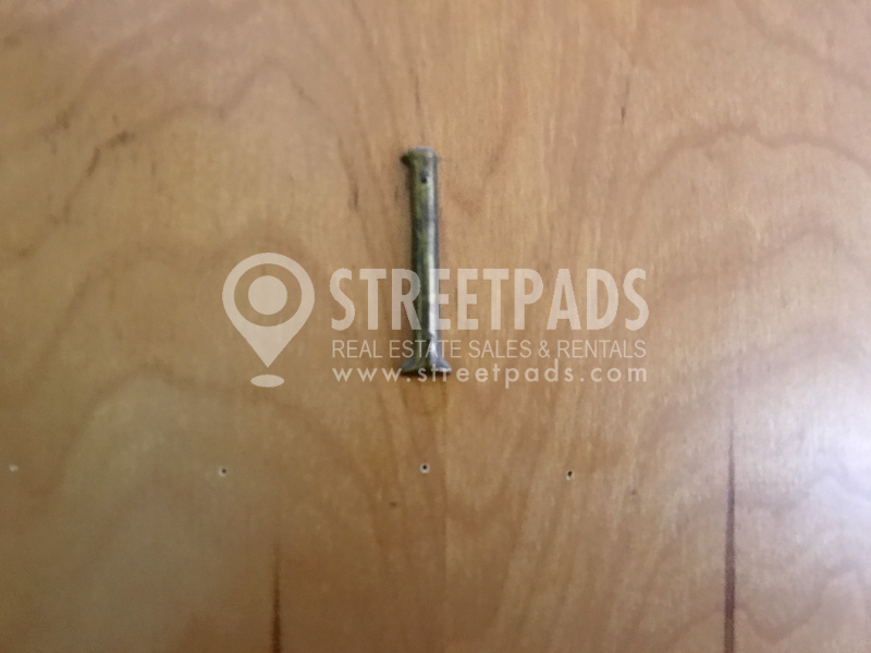 Photos of apartment on North Beacon St.,Boston MA 02135