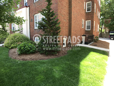 55 Langdon, Harvard Square