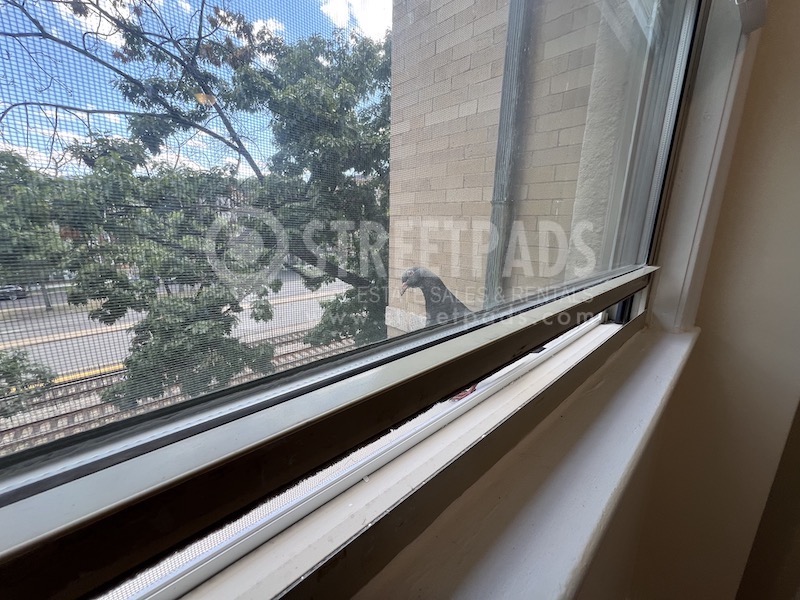 Photos of apartment on Commonwealth Ave.,Boston MA 02134