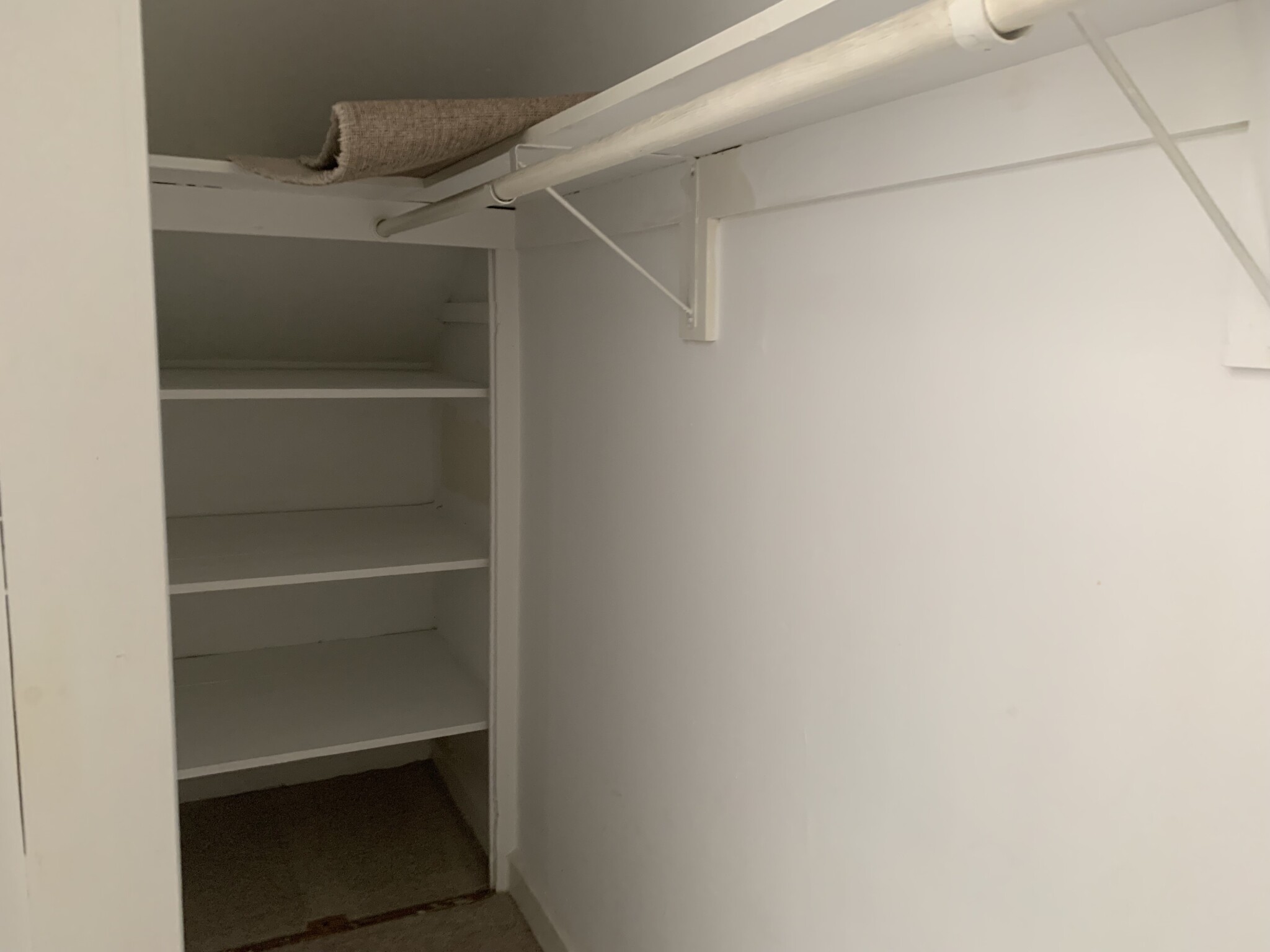 12 Stearns Rd, Coolidge Corner