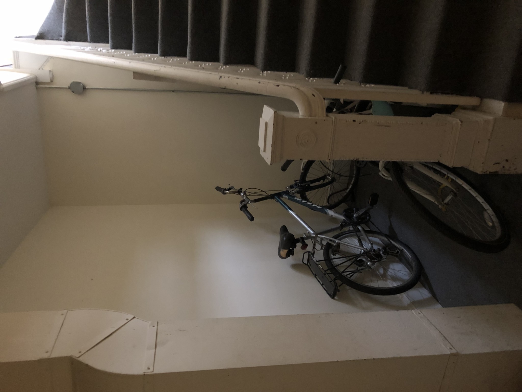 20 Lawn St, Mission Hill