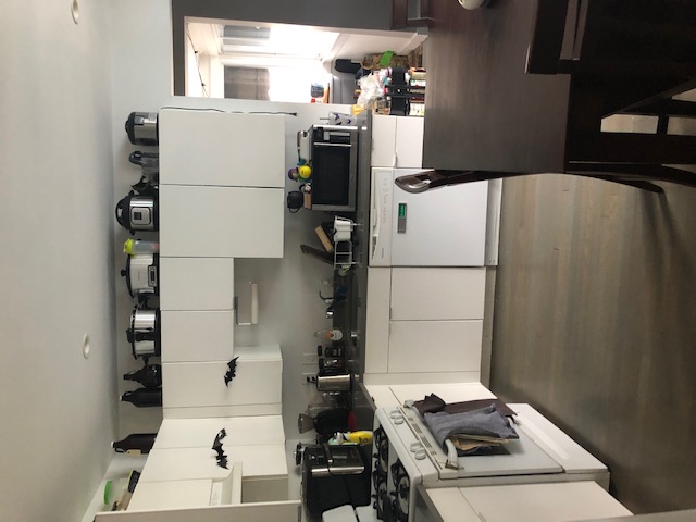 Photos of apartment on West Walnut Park,Boston MA 02119