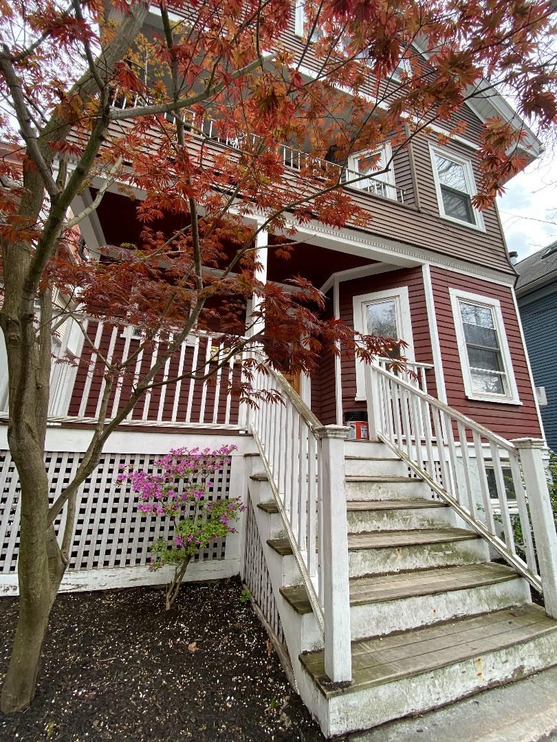 19 Chandler St, Davis Square