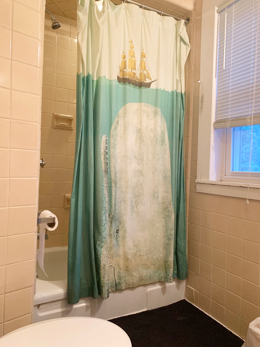 363 Beacon St, Beacon Hill