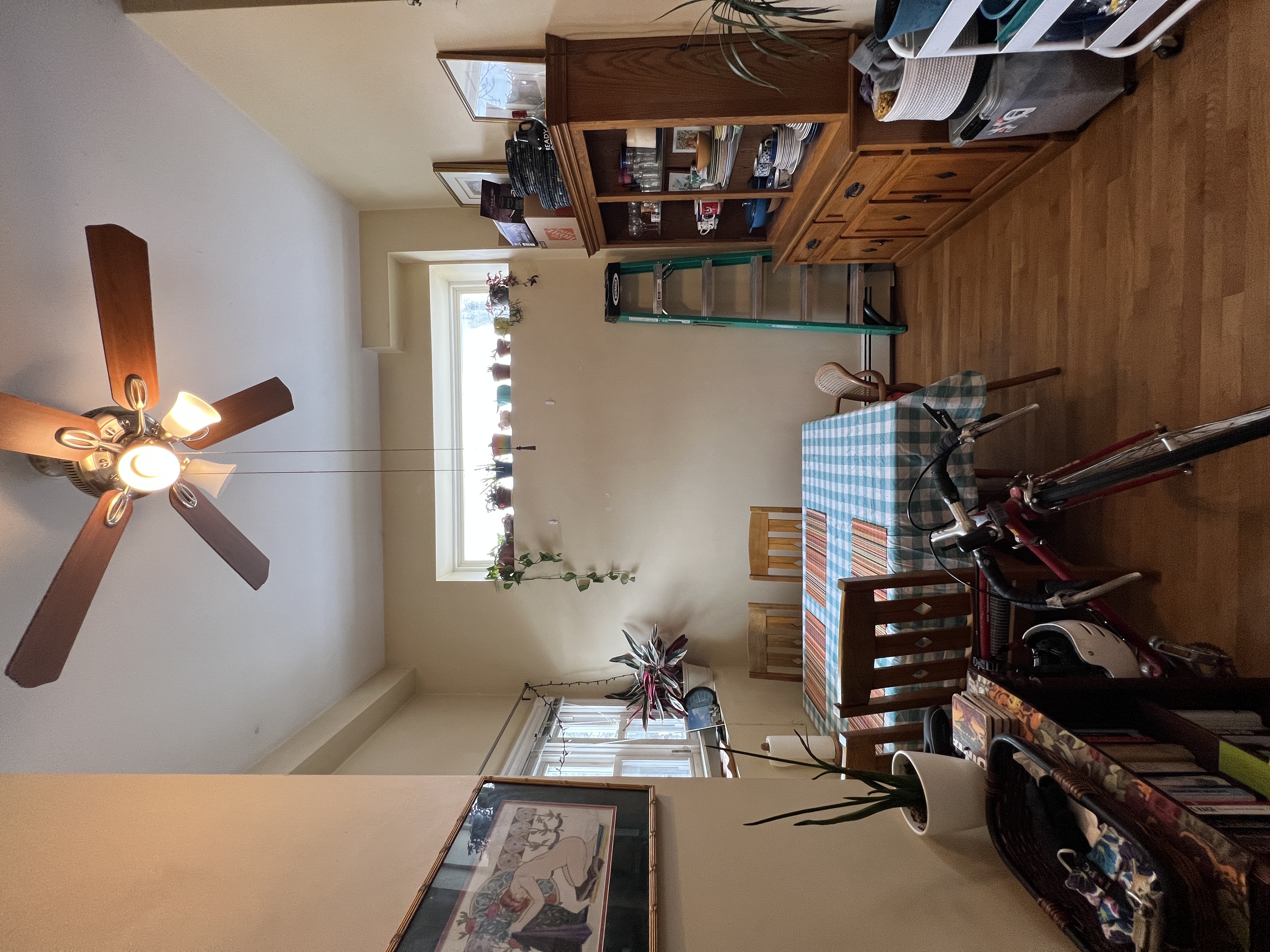 1 bed, 1 bath apartment for rent at 1298 Broadway Unit 1A, Davis Square — photo 4 of 15