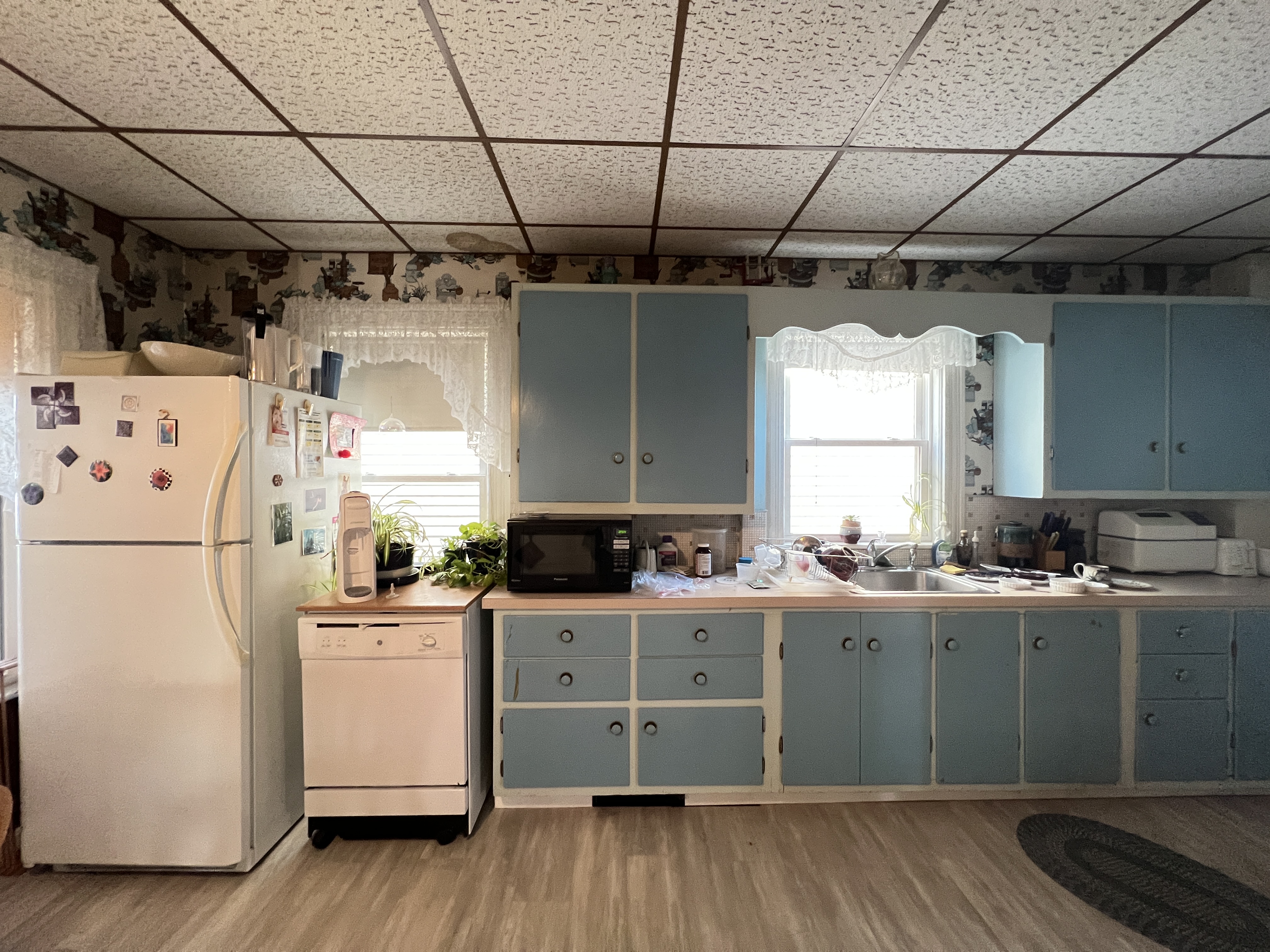 51 Ibbetson St, East Somerville