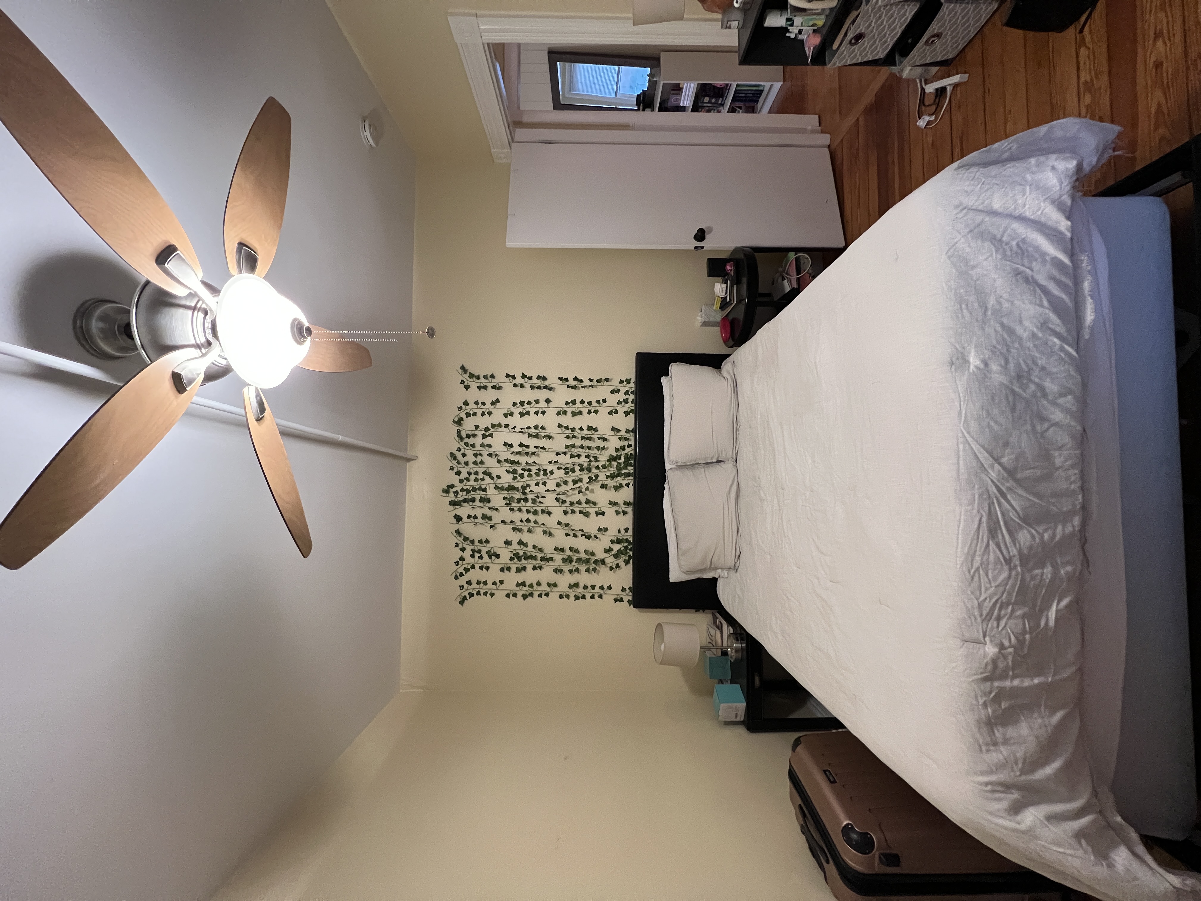 5 Irving St, Davis Square