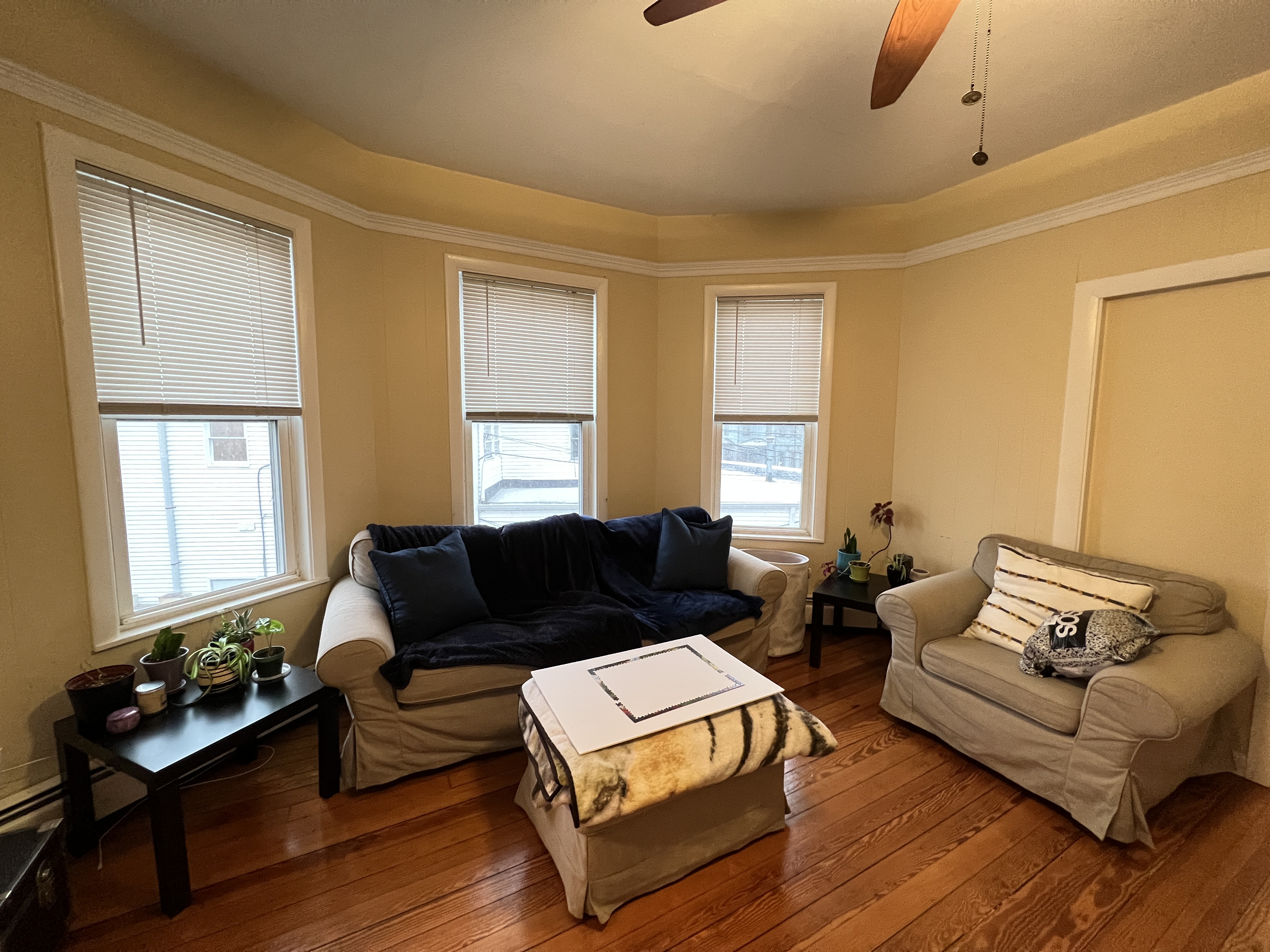 5 Irving St, Davis Square