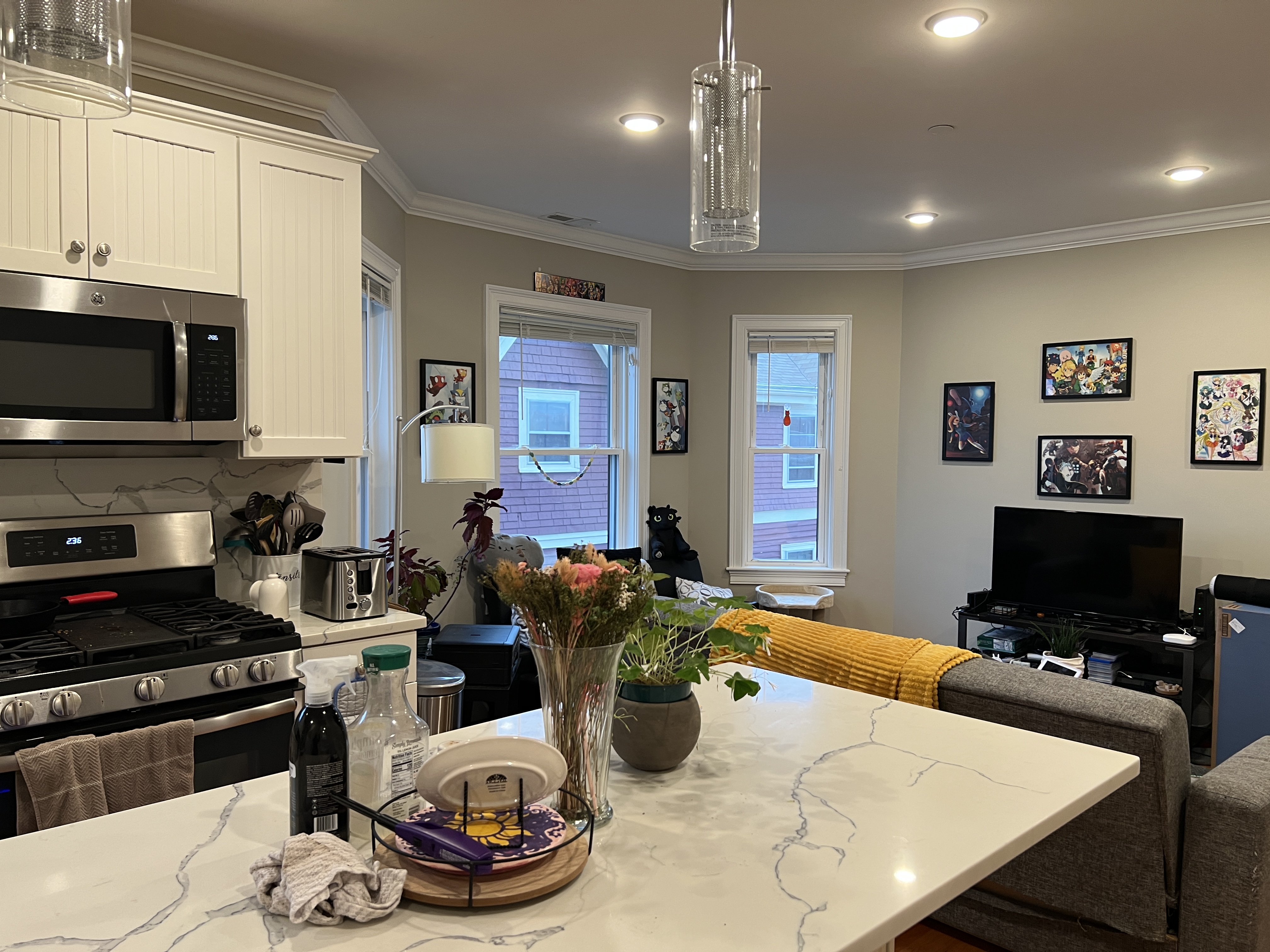 116 118 Holland St, Davis Square