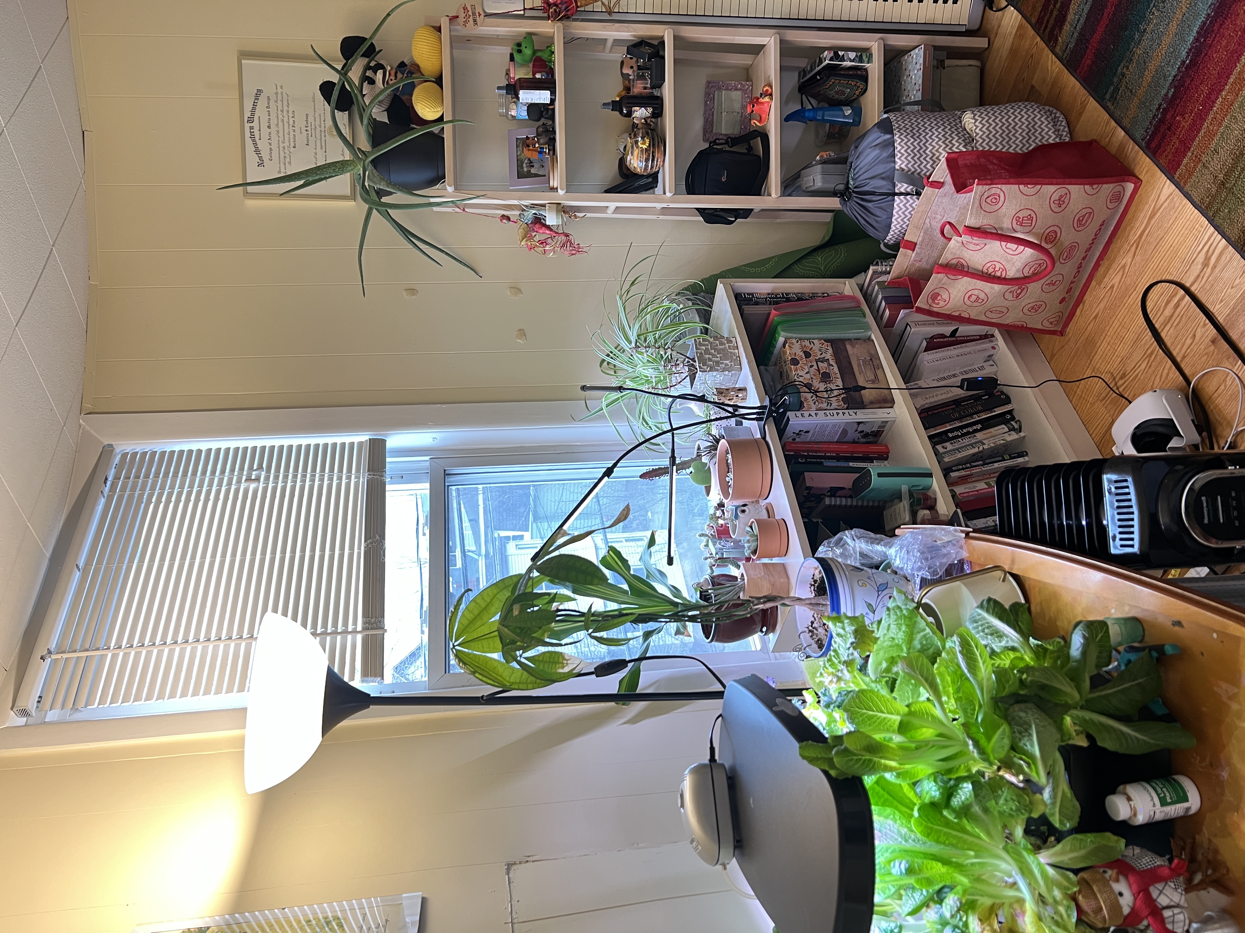 27 Cameron Ave, Davis Square