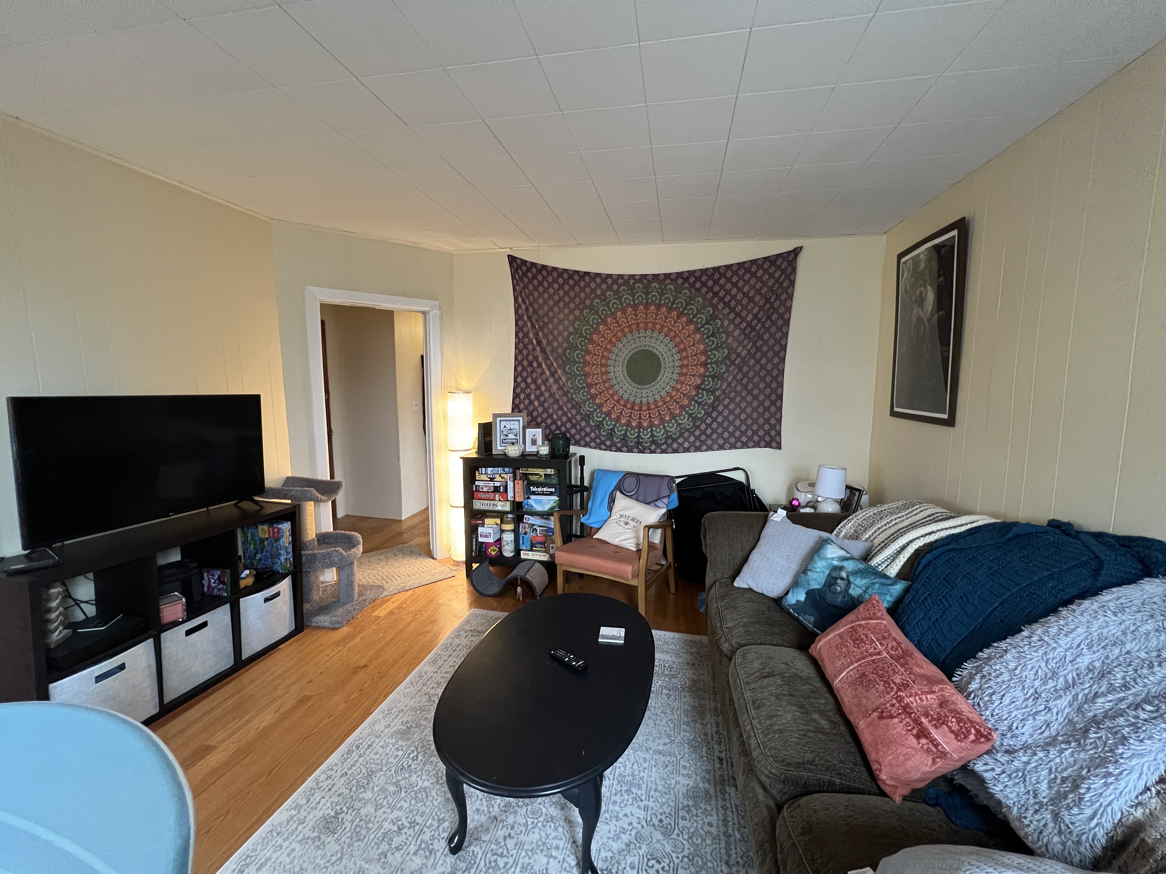 27 Cameron Ave, Davis Square