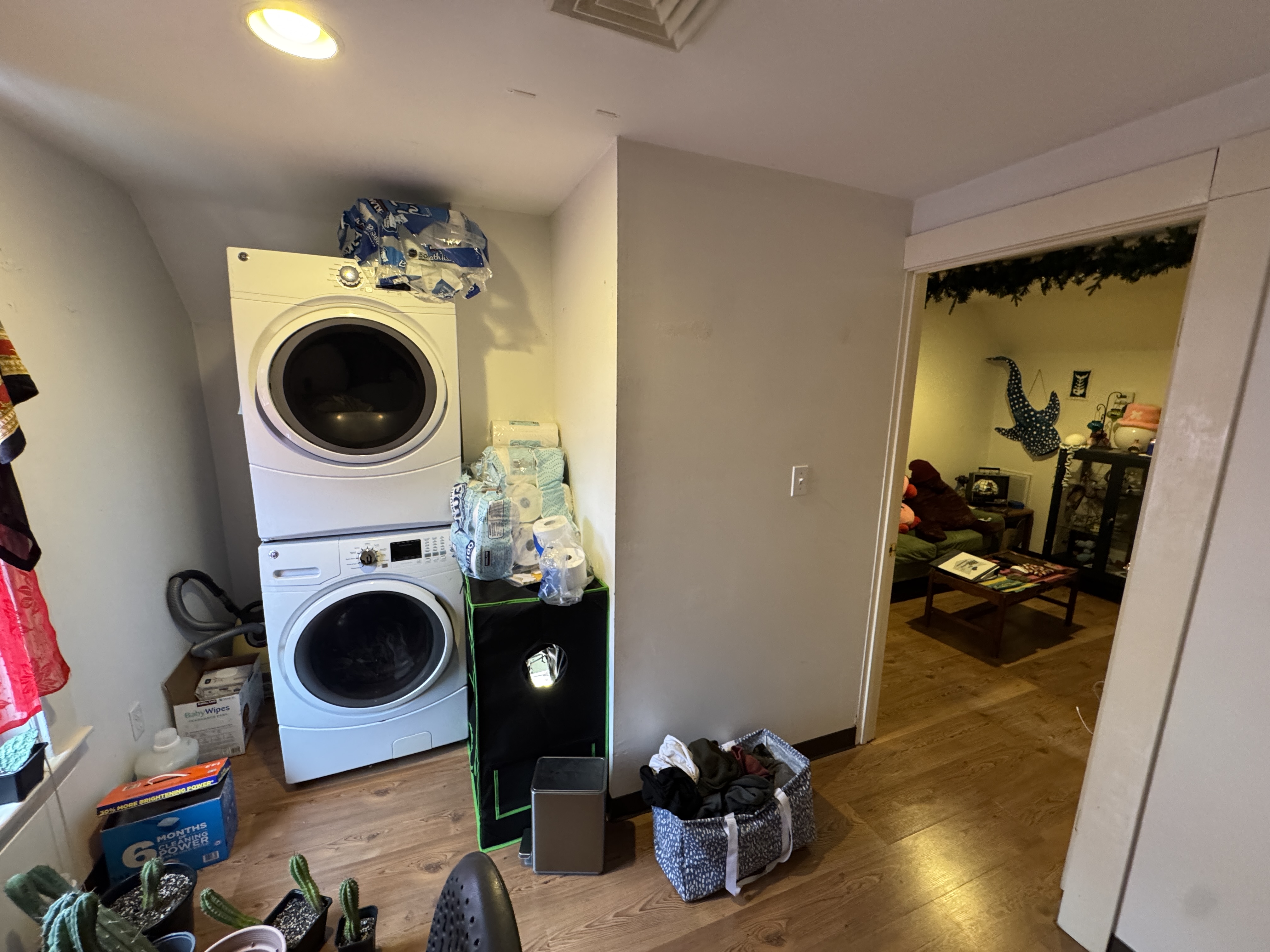 Photos of apartment on Jay St.,Somerville MA 