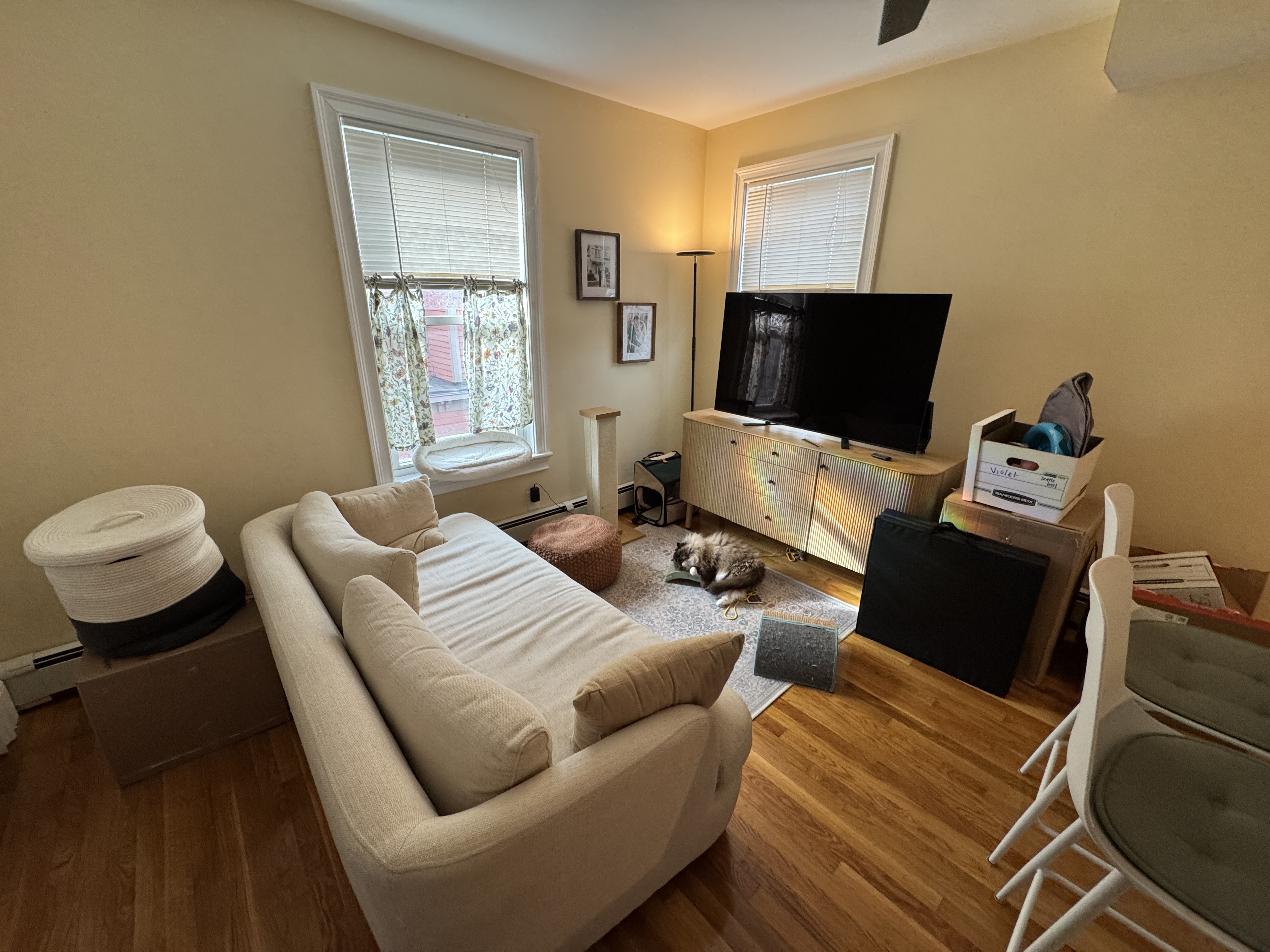 Photos of apartment on Walden,Cambridge MA 02140