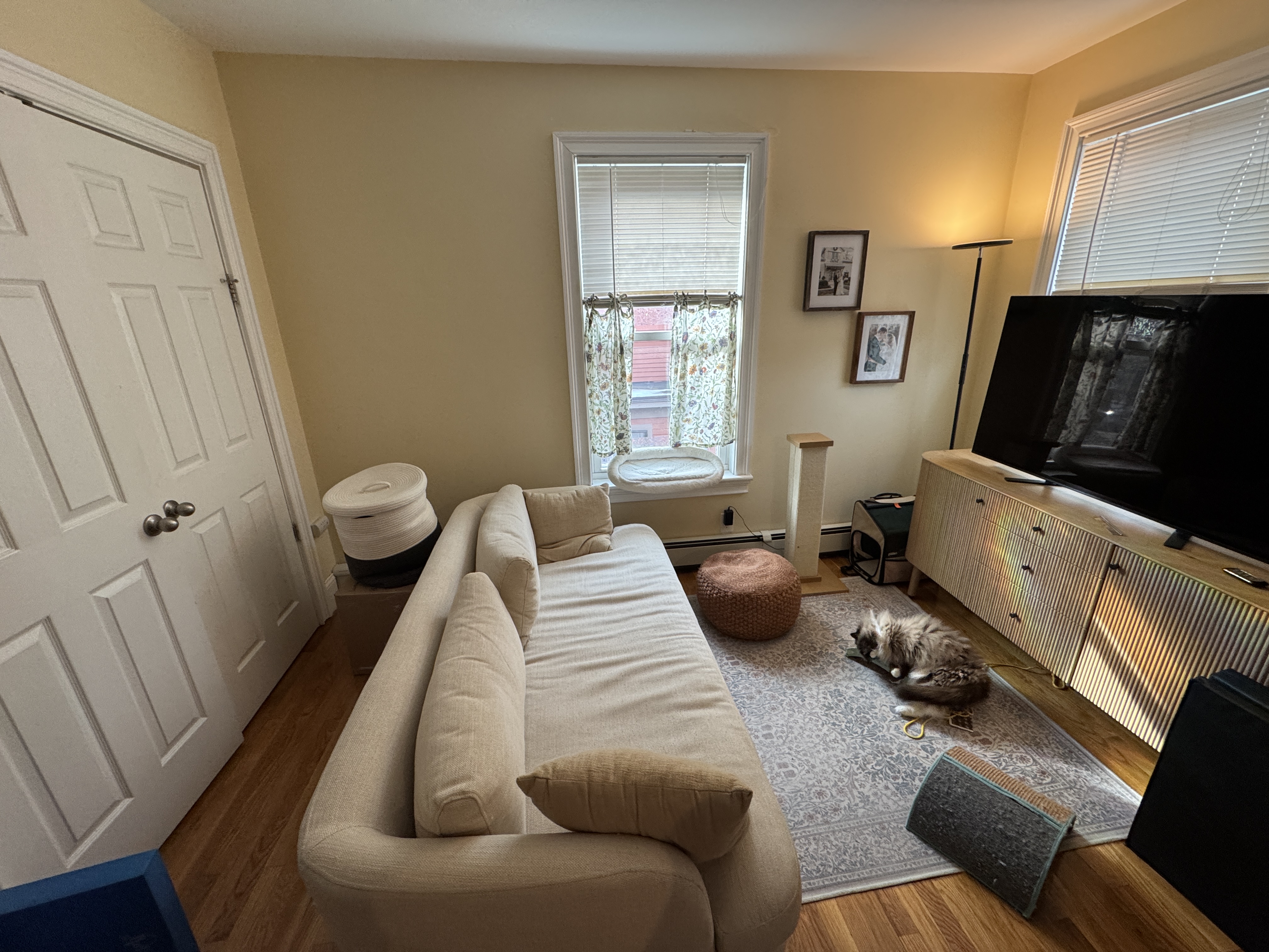 Photos of apartment on Walden,Cambridge MA 02140
