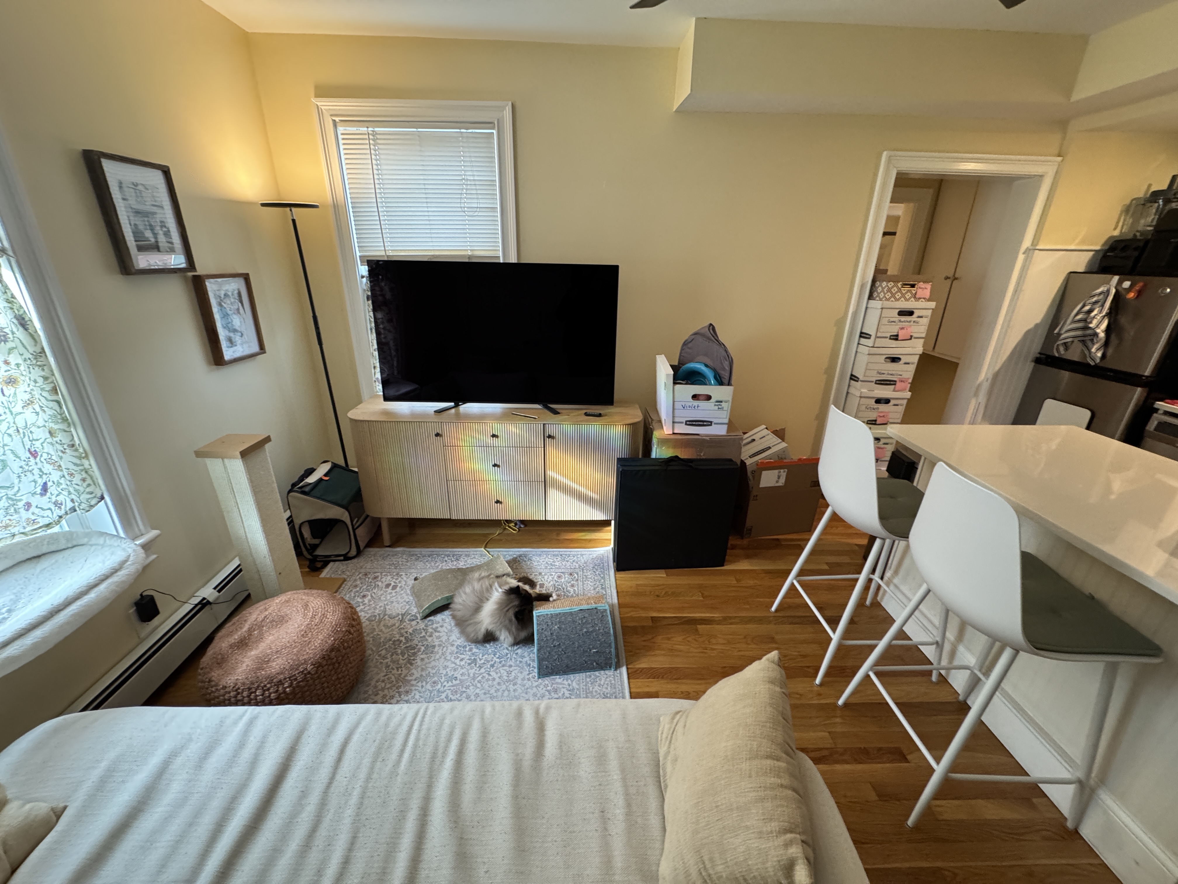 Photos of apartment on Walden,Cambridge MA 02140