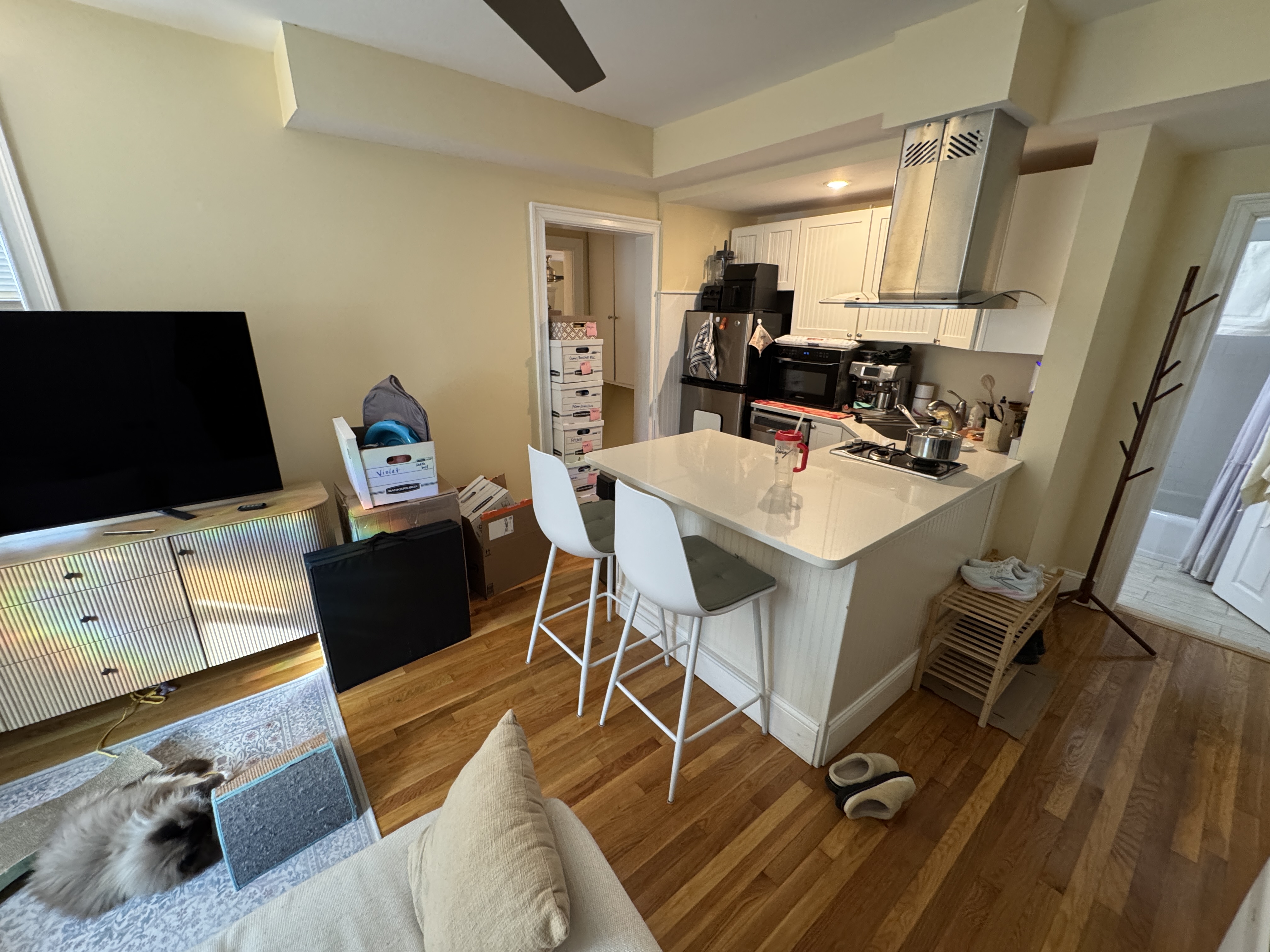Photos of apartment on Walden,Cambridge MA 02140