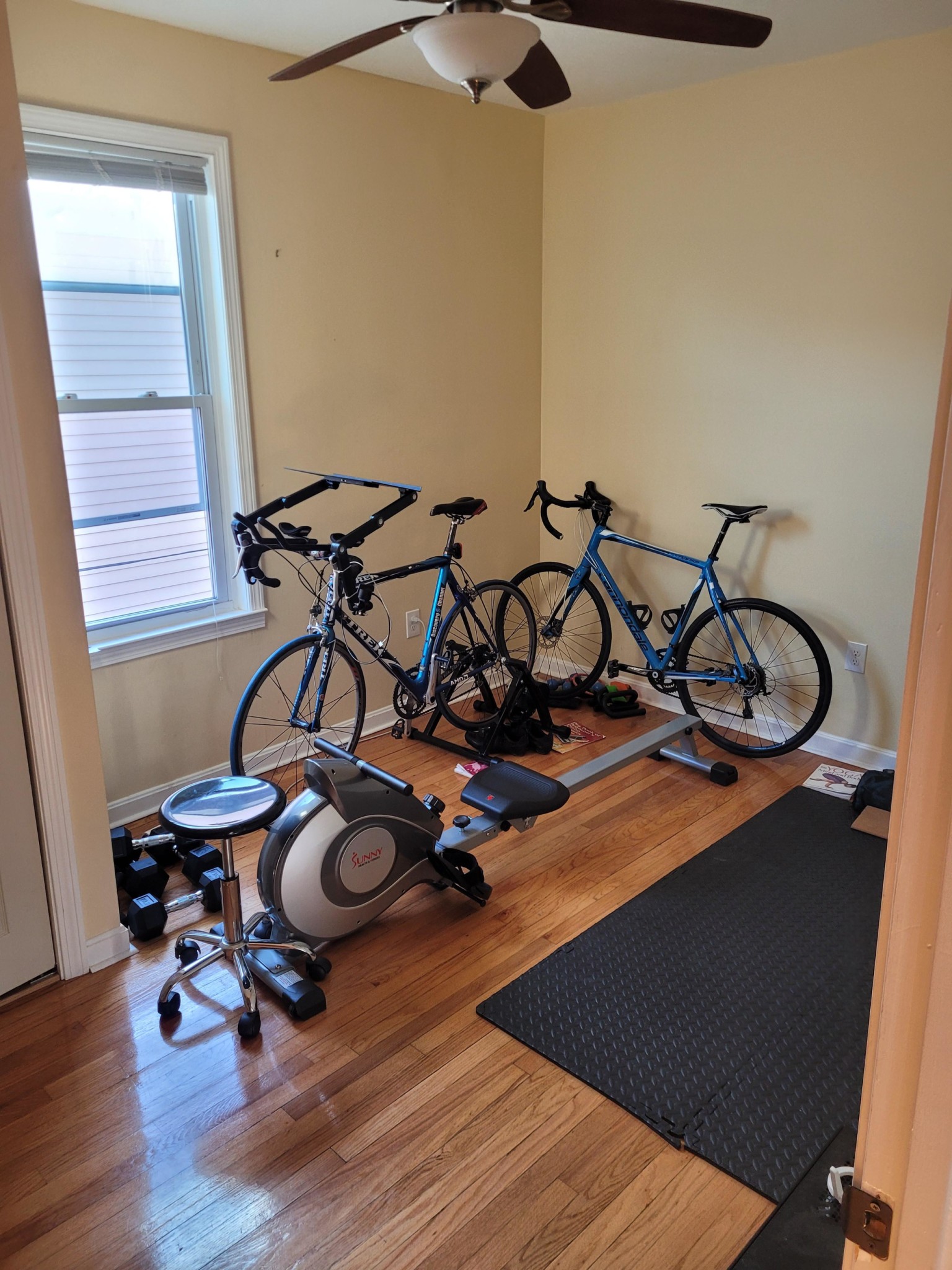 38 Gorham St, Davis Square