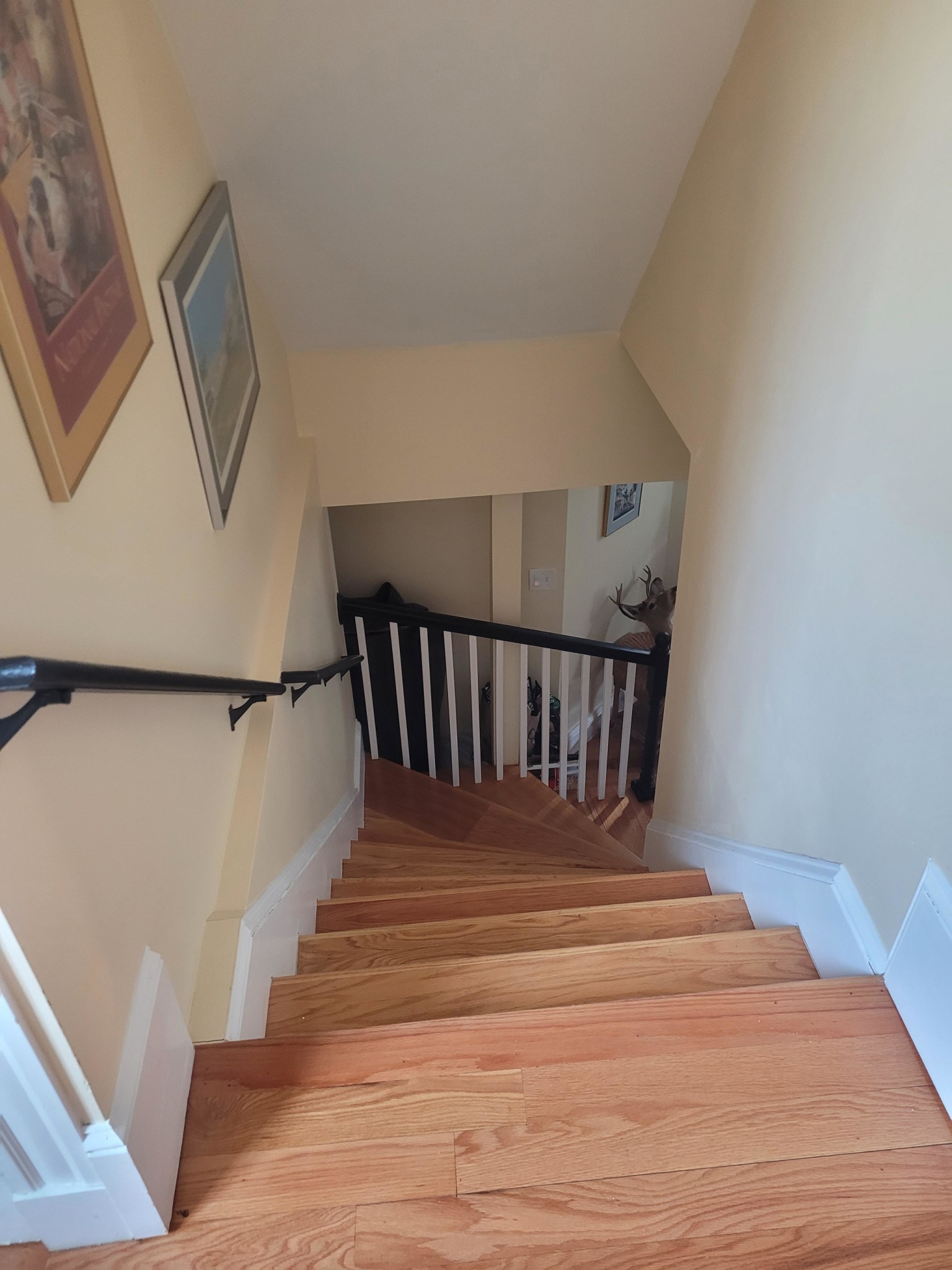 219 Holland St, Teele Square