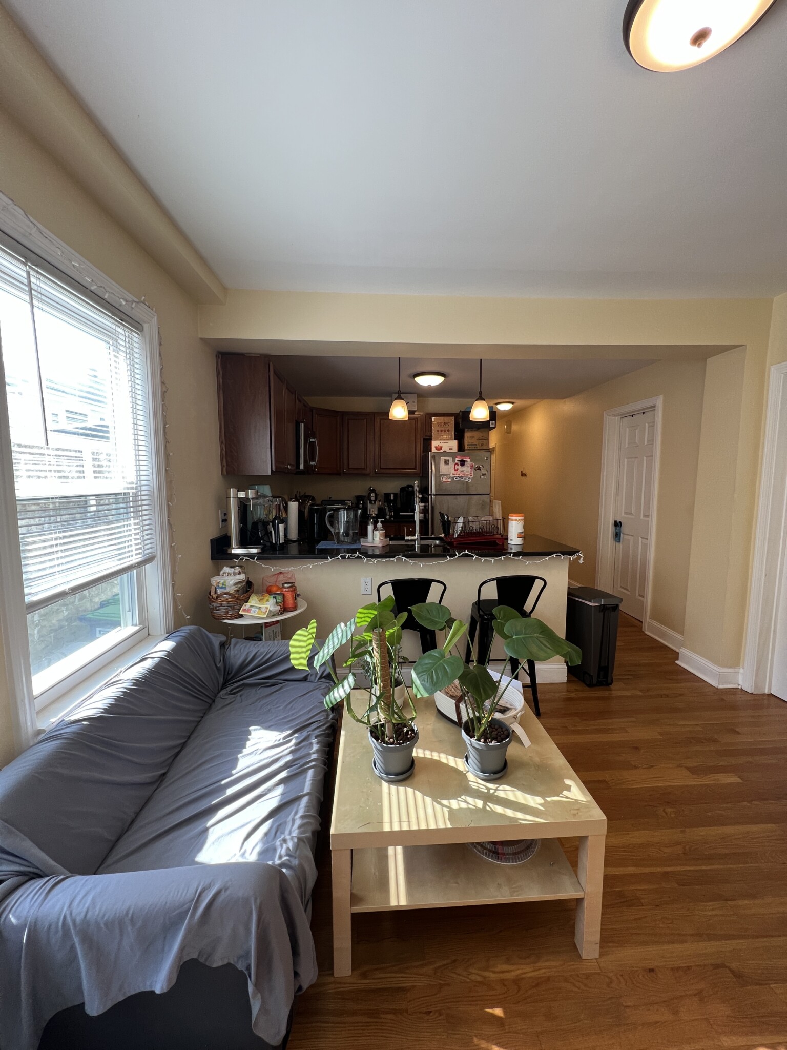 16 18 Silvey Pl, Spring Hill