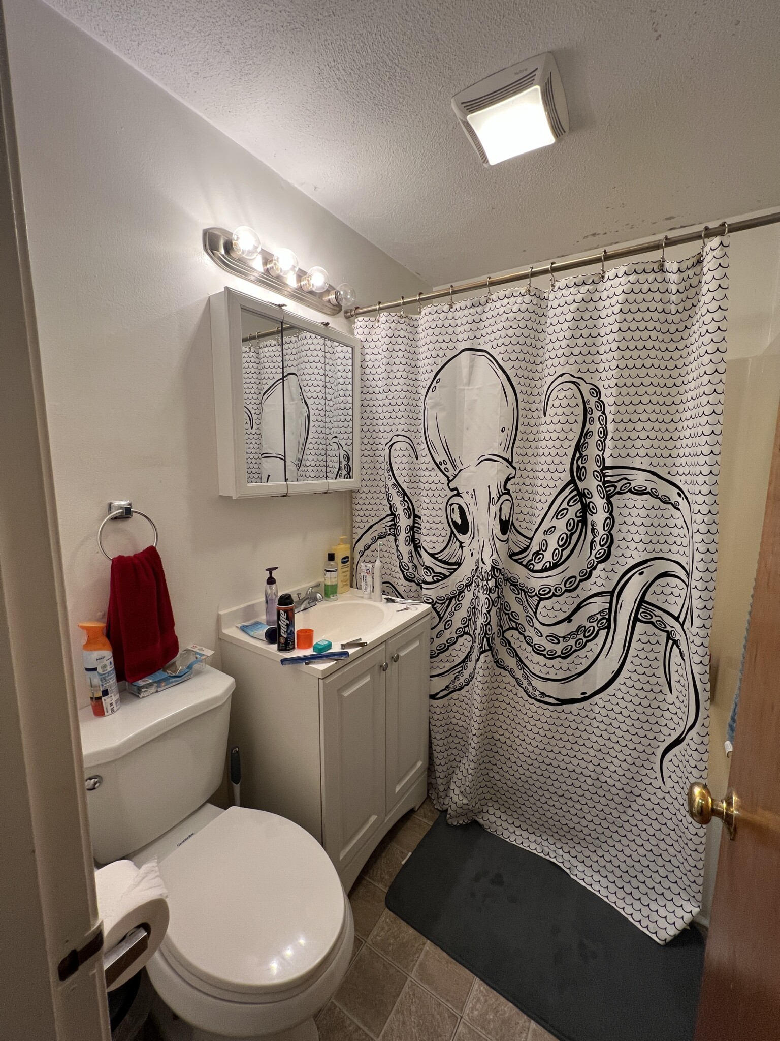 217 Holland St, Davis Square