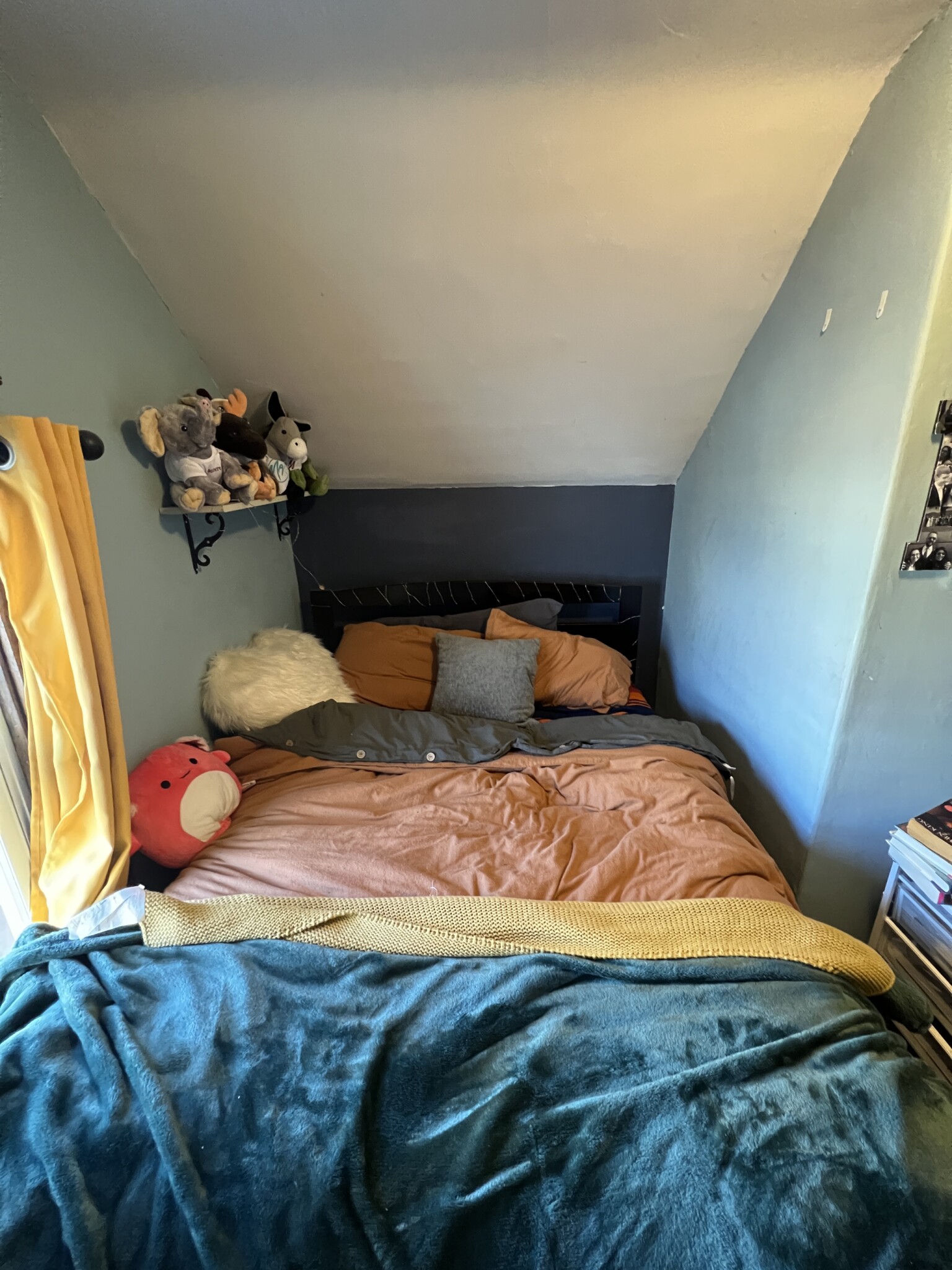 7 Craigie Ter, Spring Hill