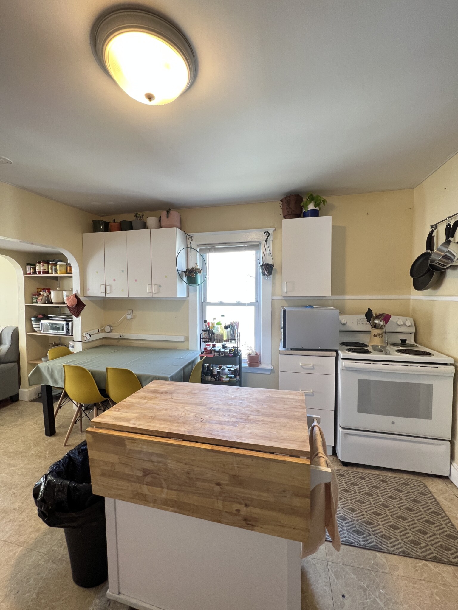 7 Craigie Ter, Spring Hill