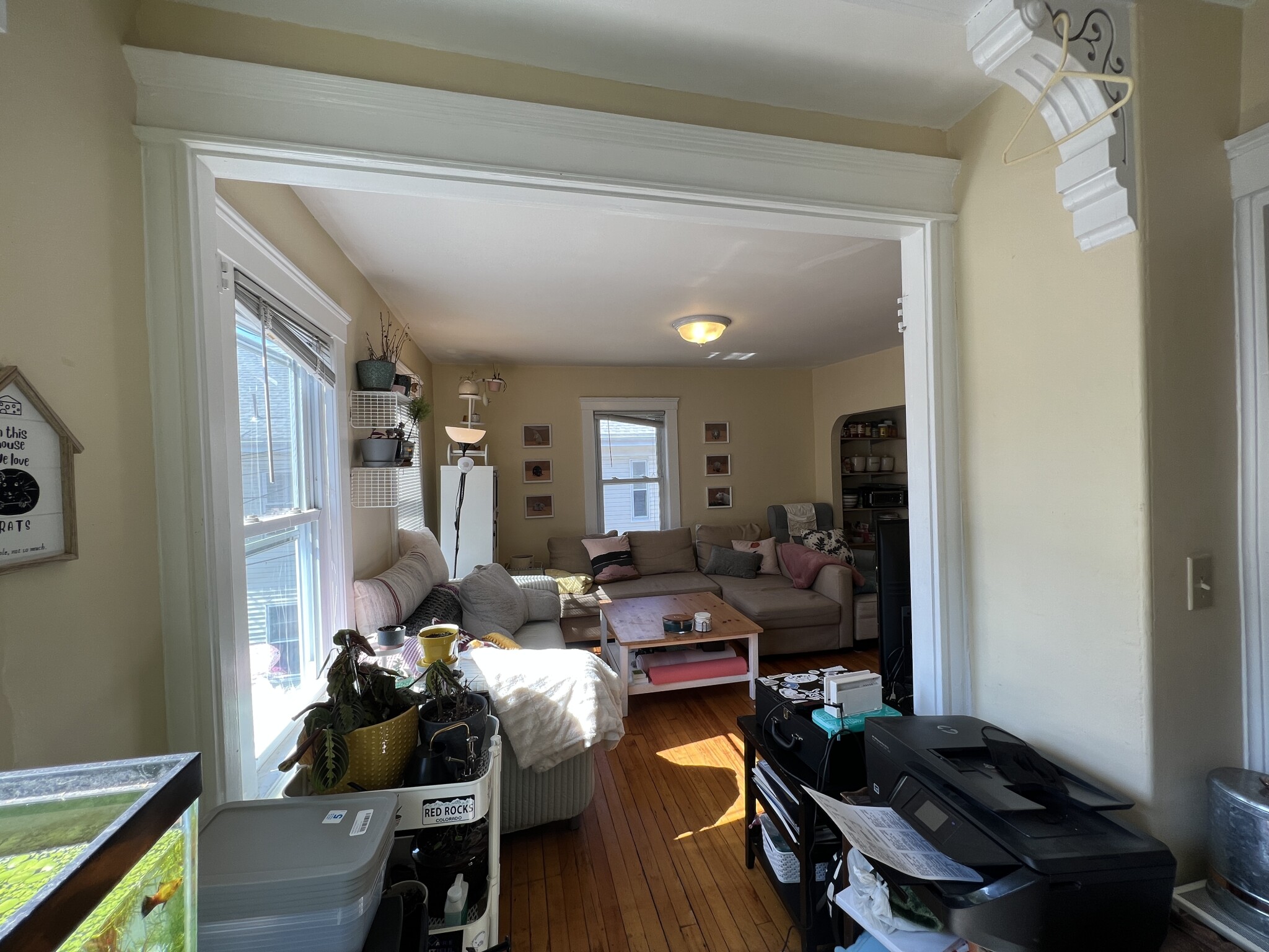 7 Craigie Ter, Spring Hill