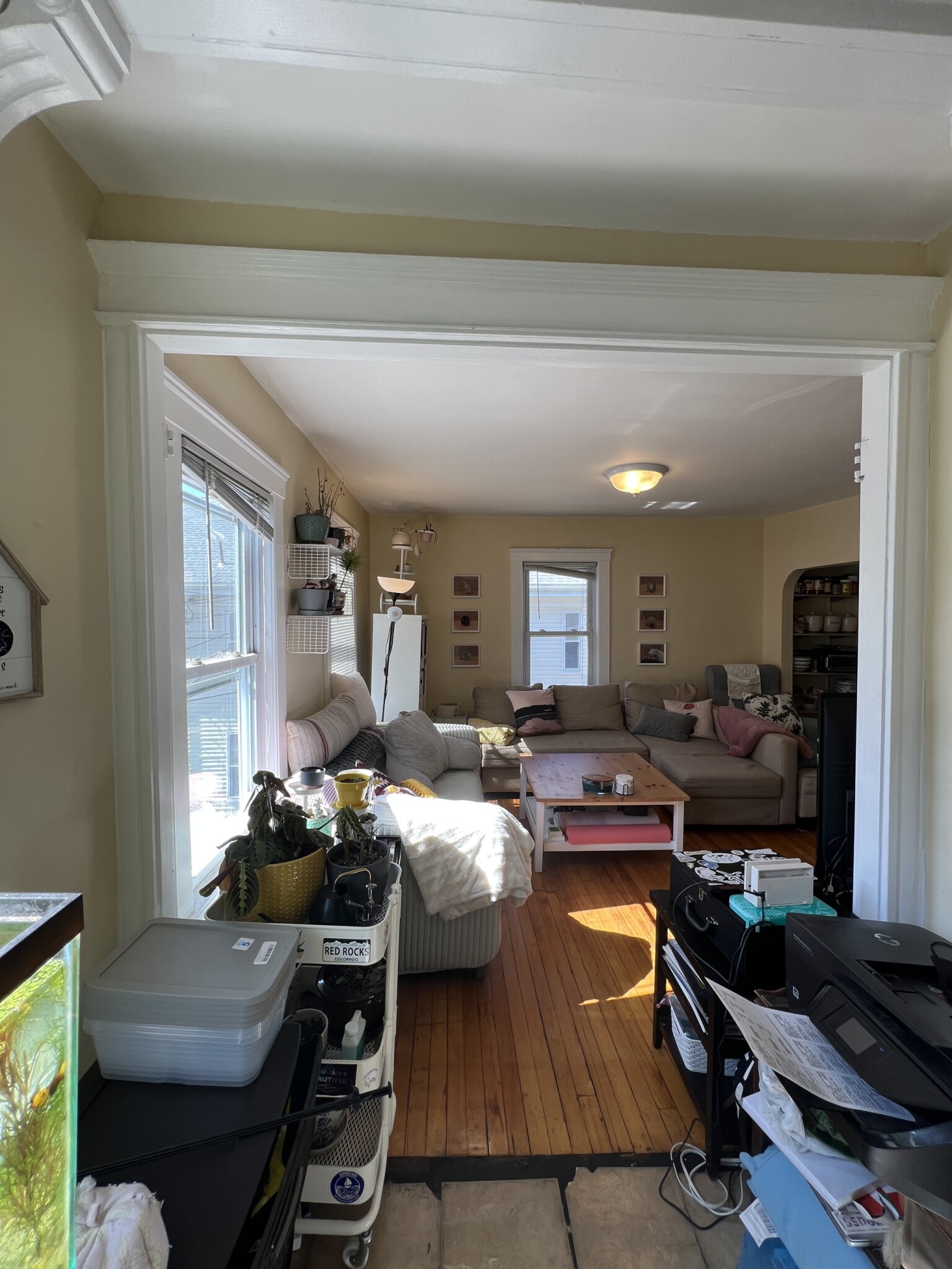 7 Craigie Ter, Spring Hill