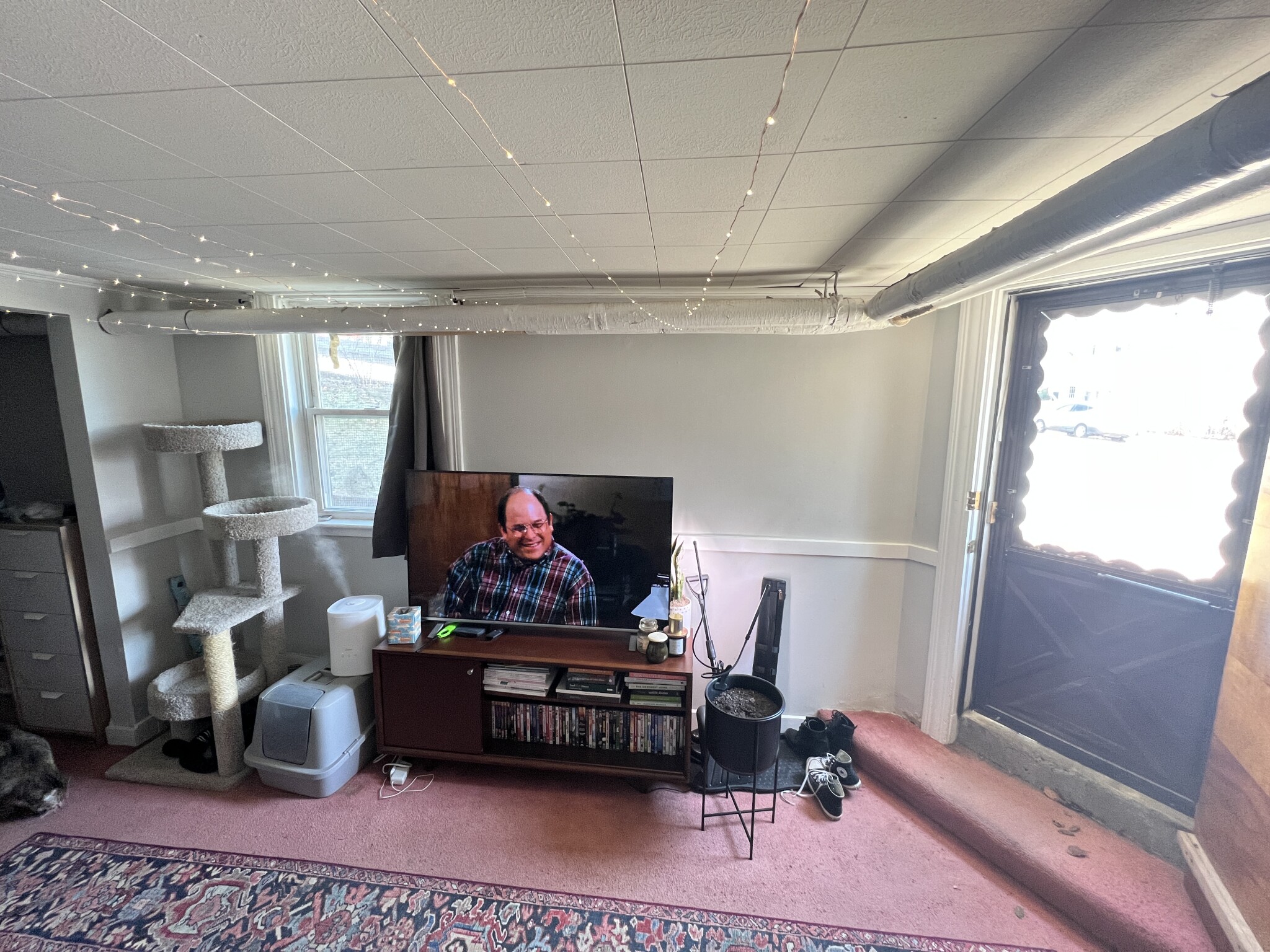 27 Cameron Ave, North Cambridge