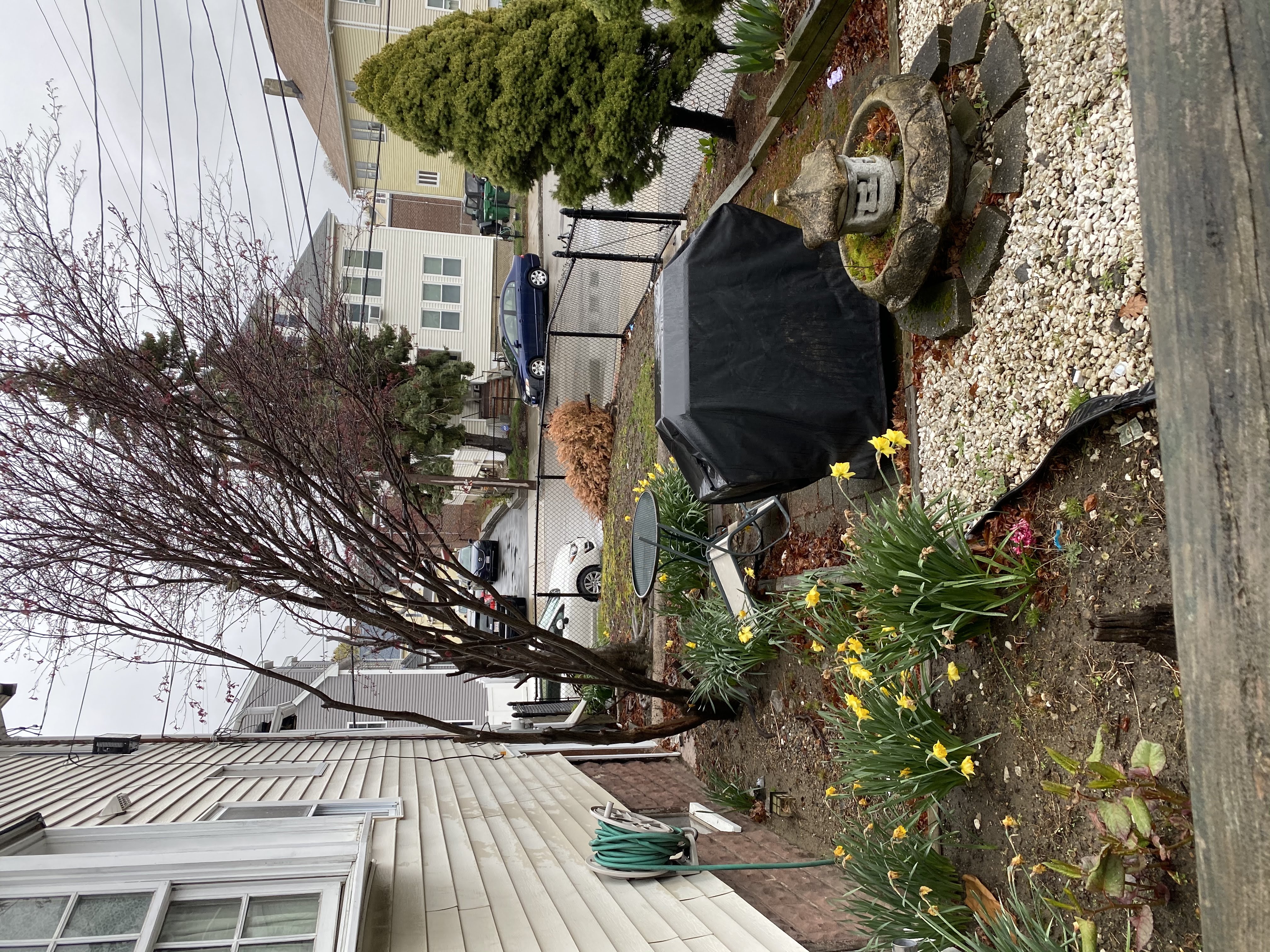 3.5 bed, 2 bath apartment for rent at 65 Bow St Unit 1, Medford — photo 4 of 26