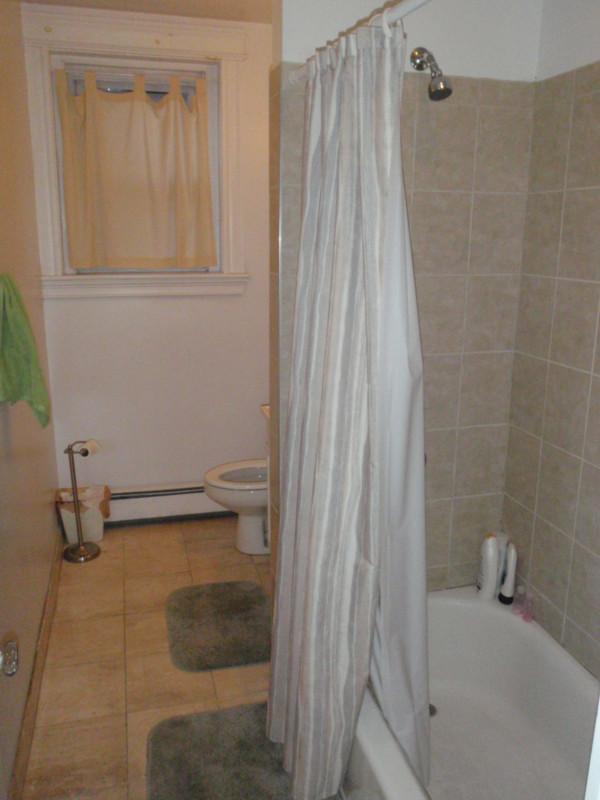 45 Orkney Rd, Brighton