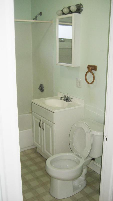 4 bed, 1 bath apartment for rent at 173 Hillside St Unit 1, Mission Hill — photo 10 of 10
