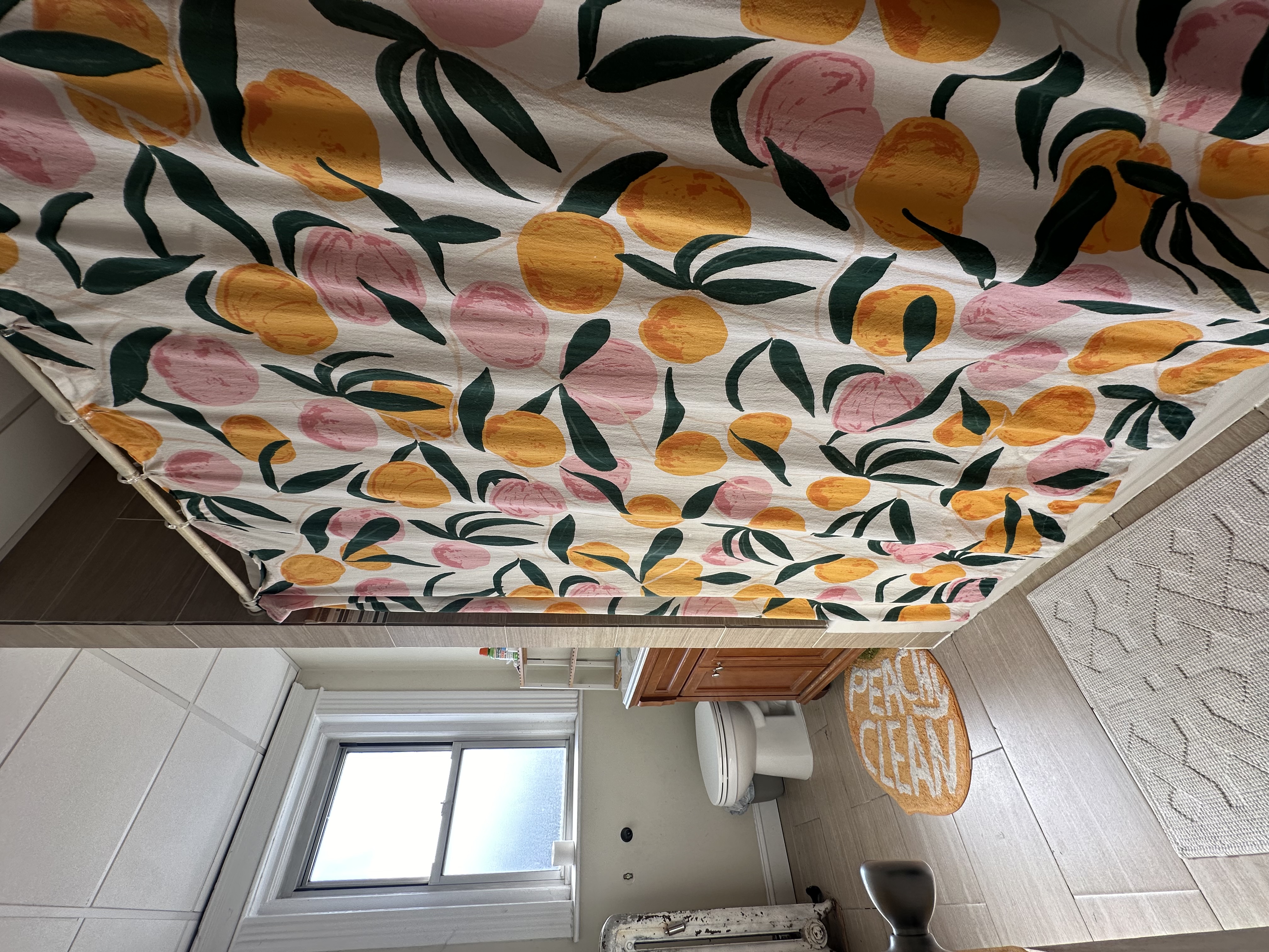 11 Babcock St, North Brookline