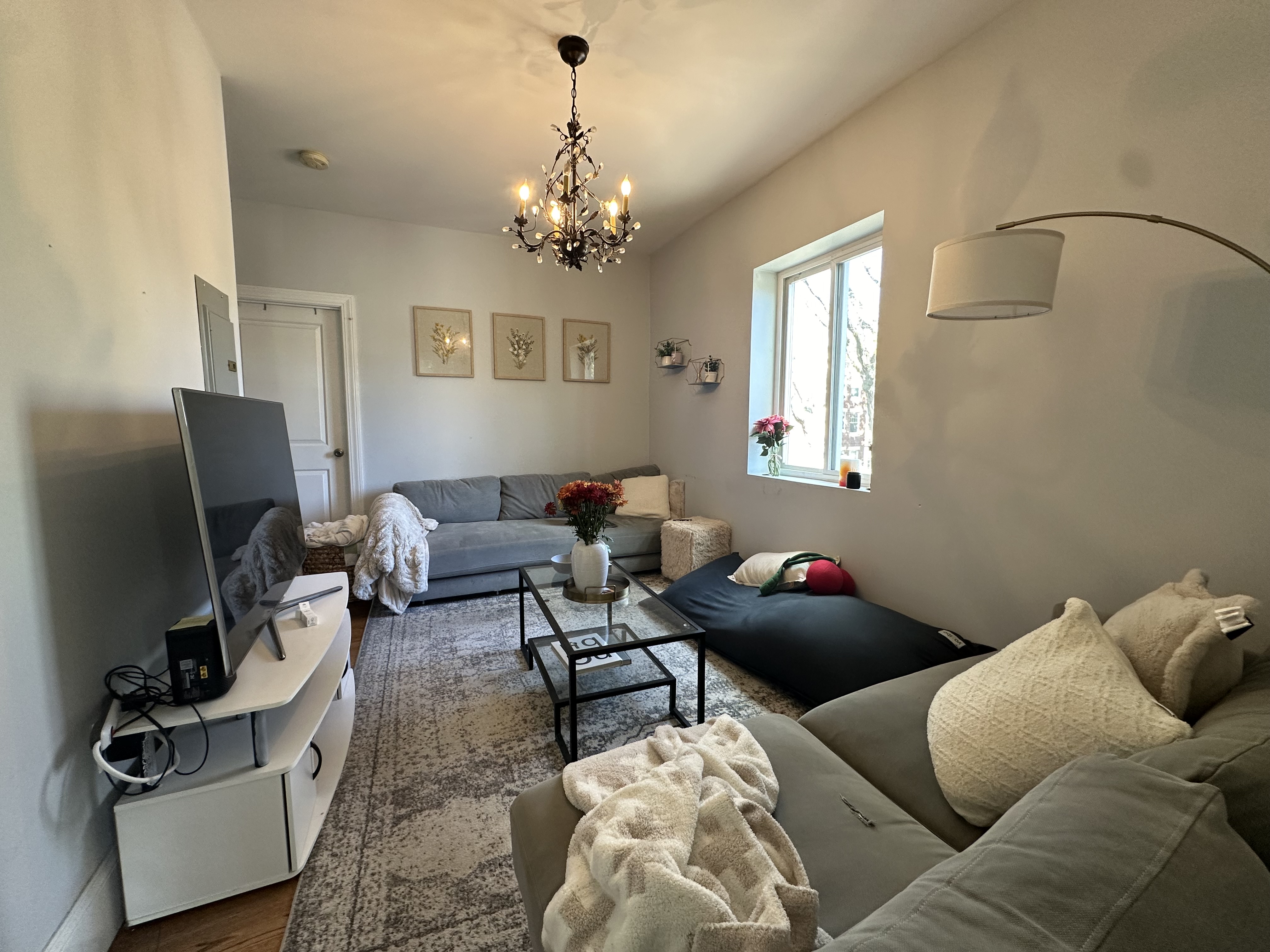 11 Babcock St, North Brookline