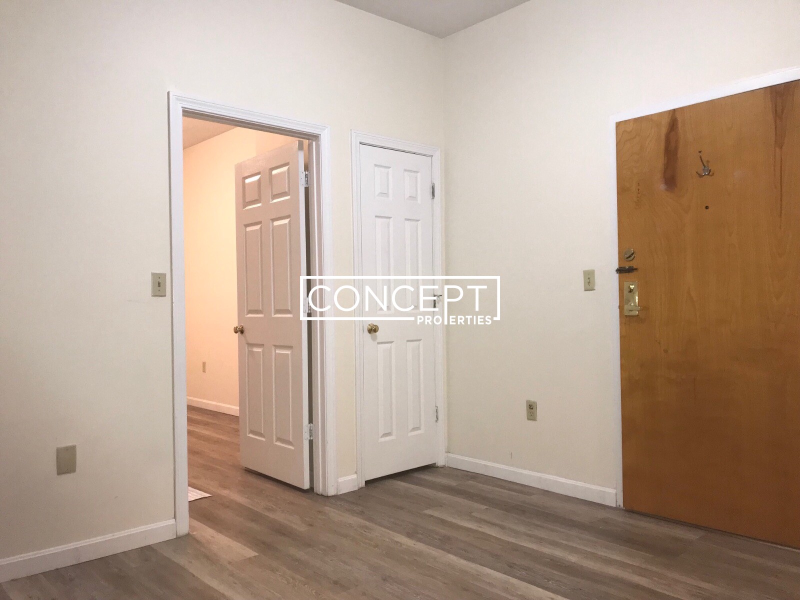 Concept Properties