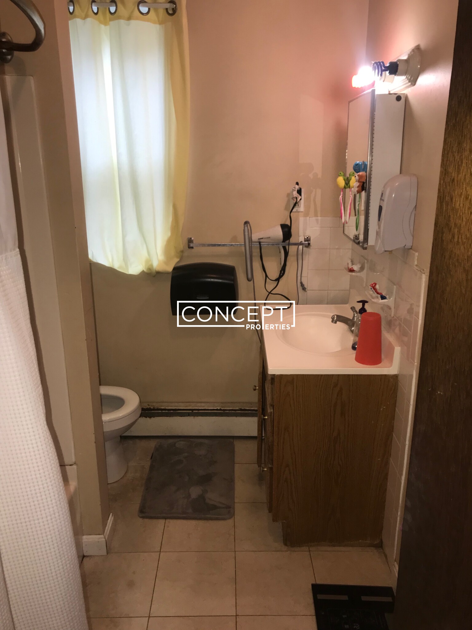 Concept Properties