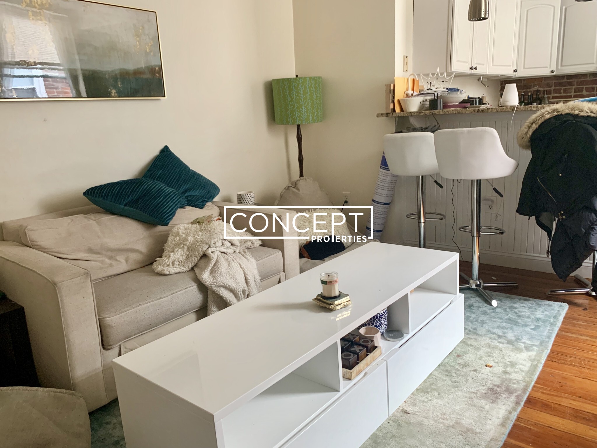 Concept Properties