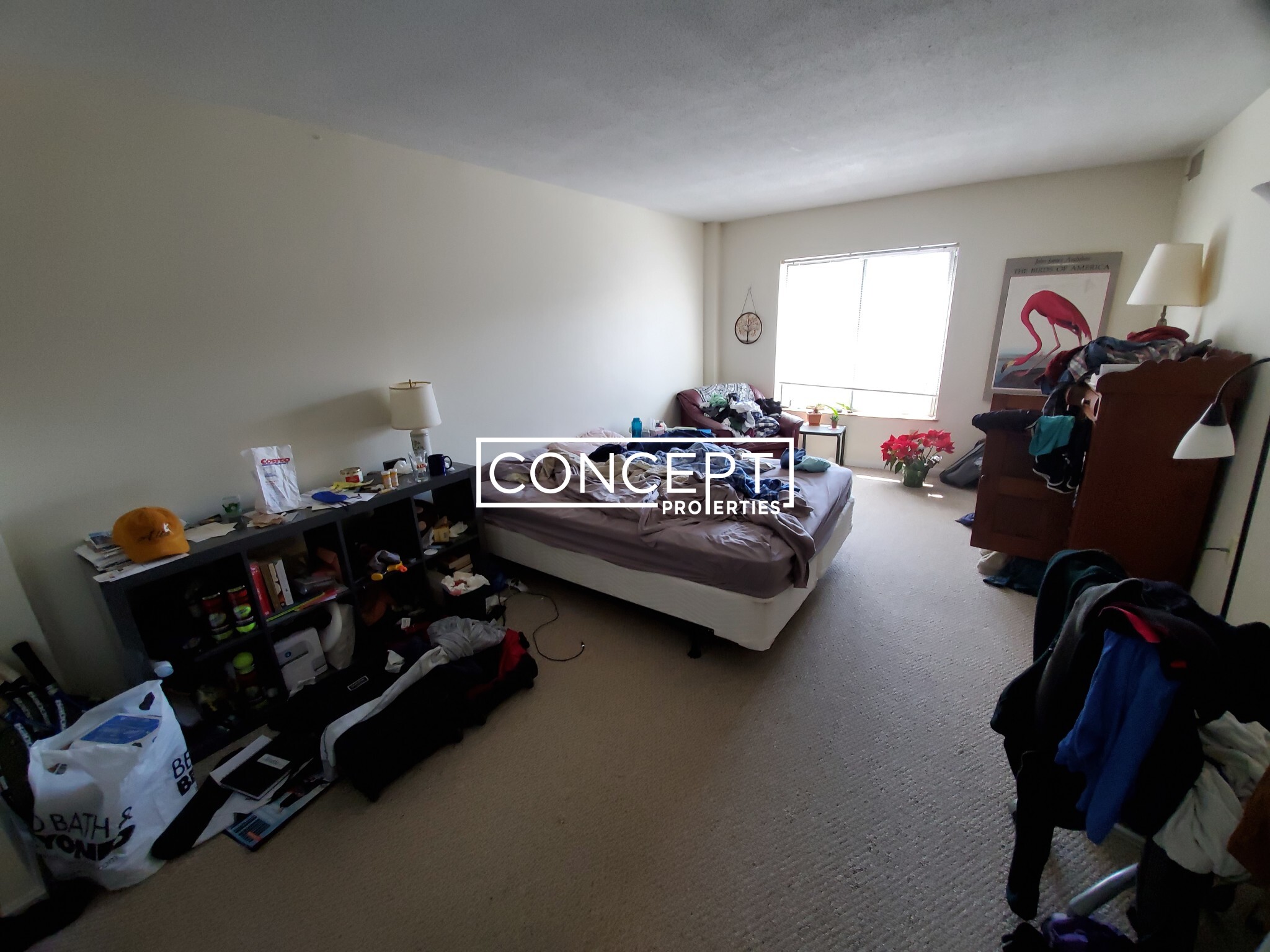 345 Franklin St, Central Square