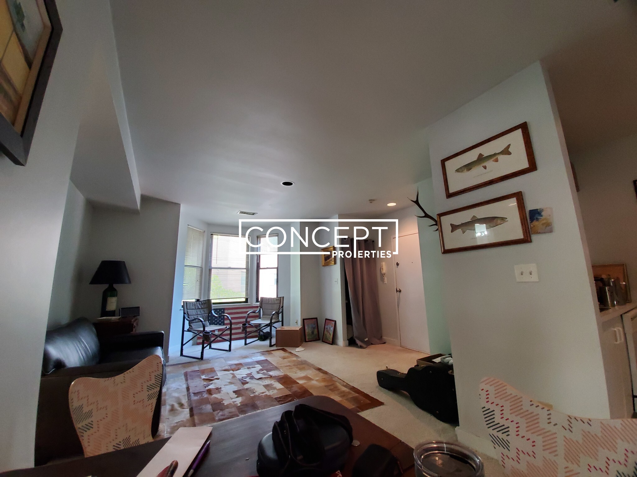 Concept Properties