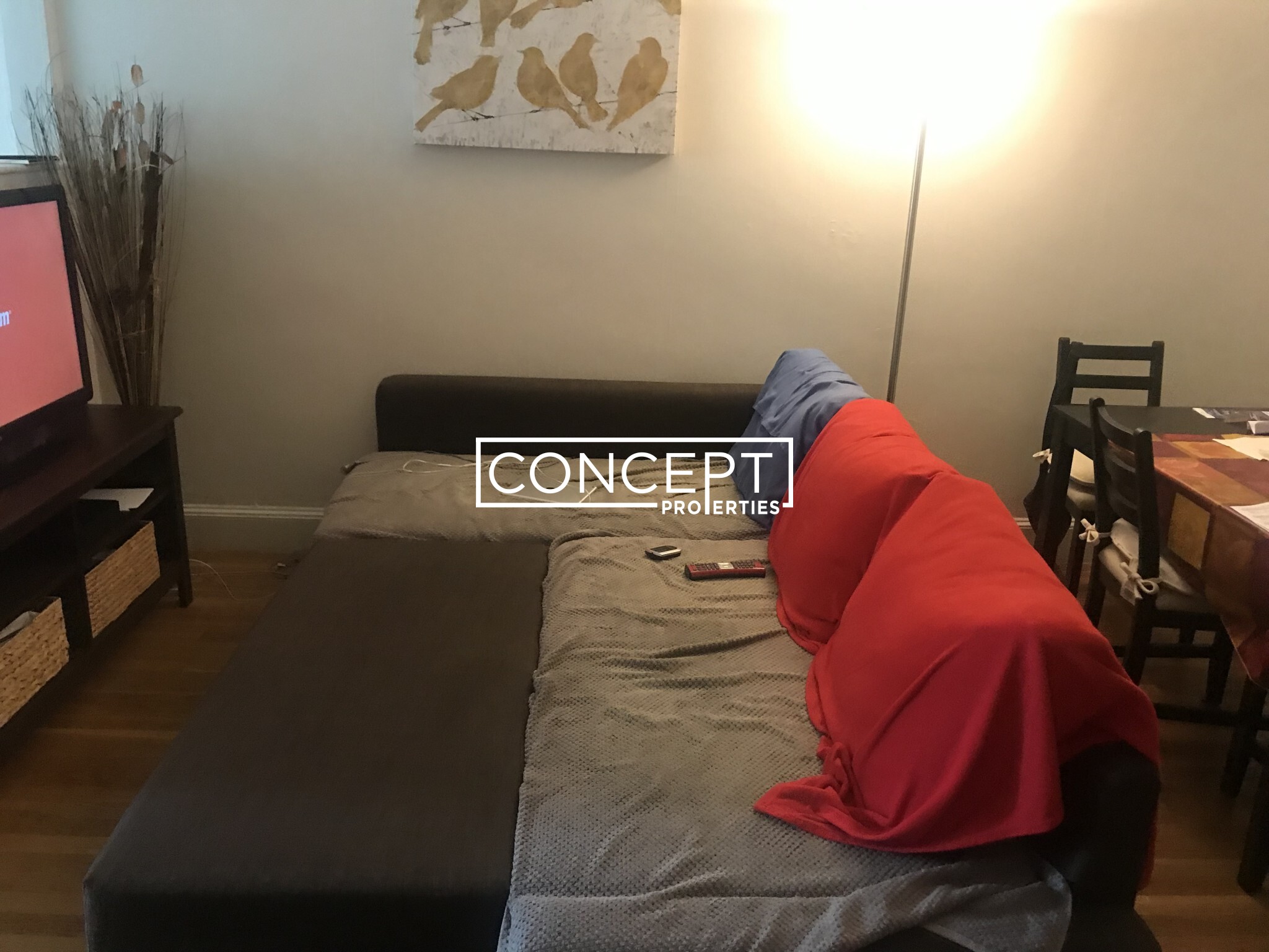 Concept Properties