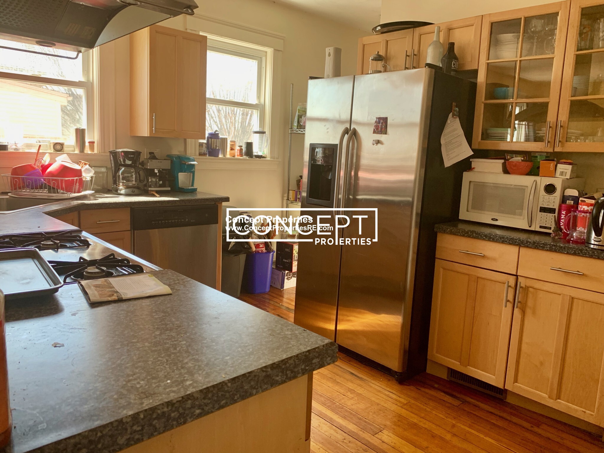 6 Belmont St, Spring Hill