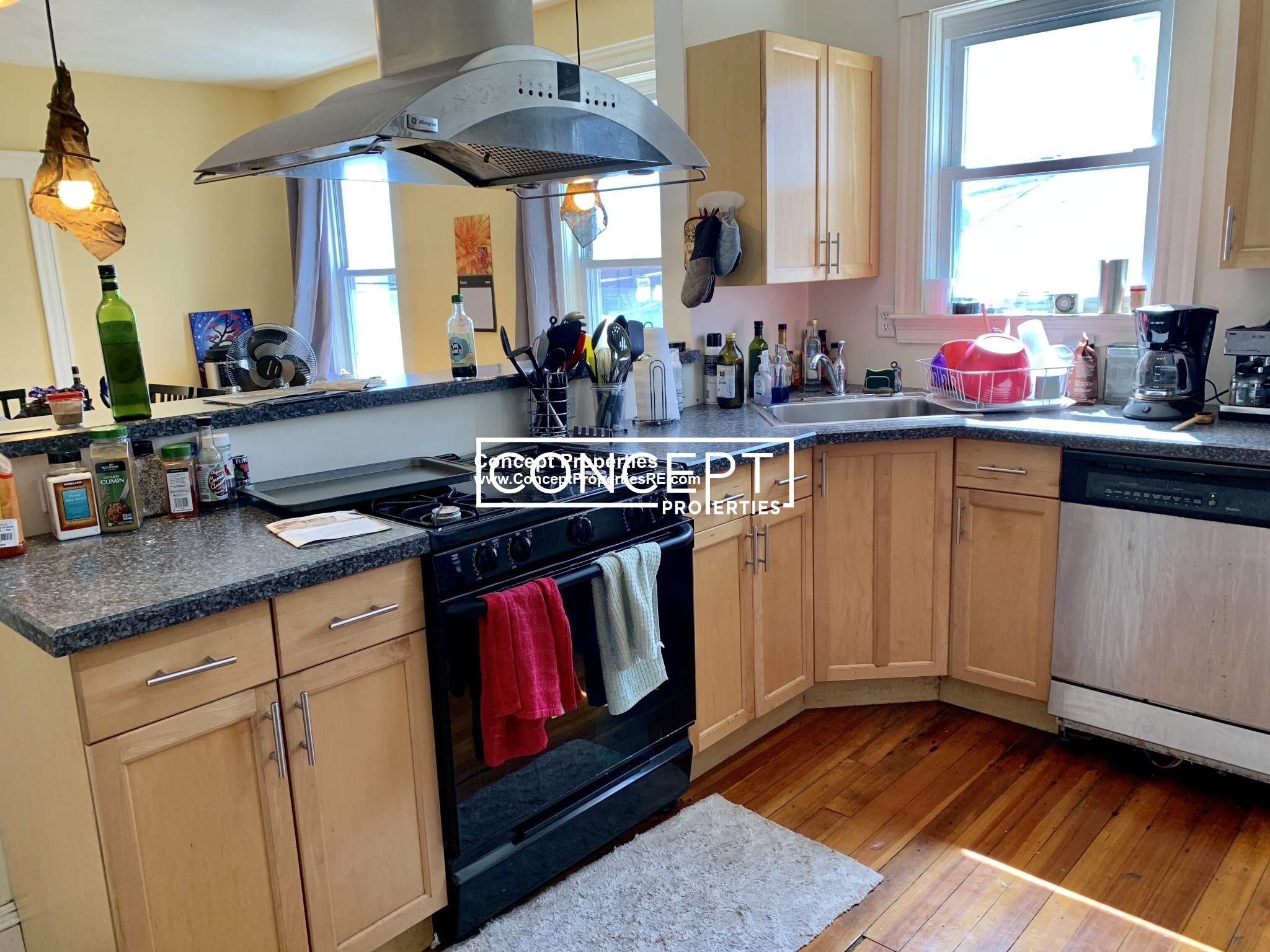 6 Belmont St, Spring Hill