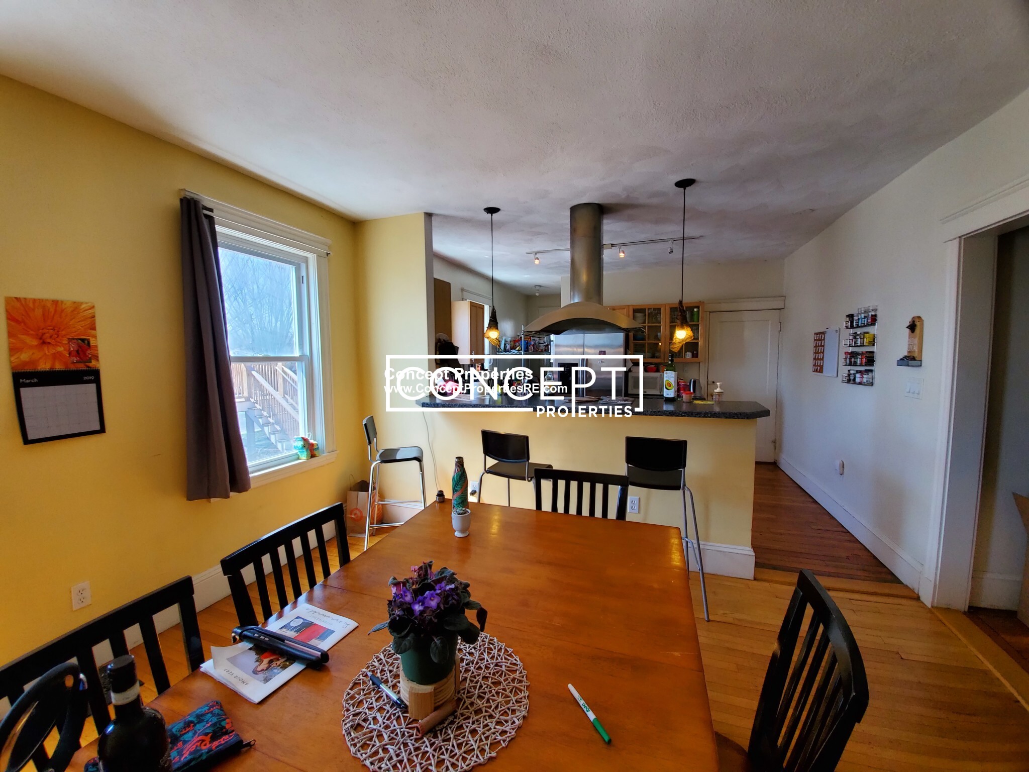 6 Belmont St, Spring Hill