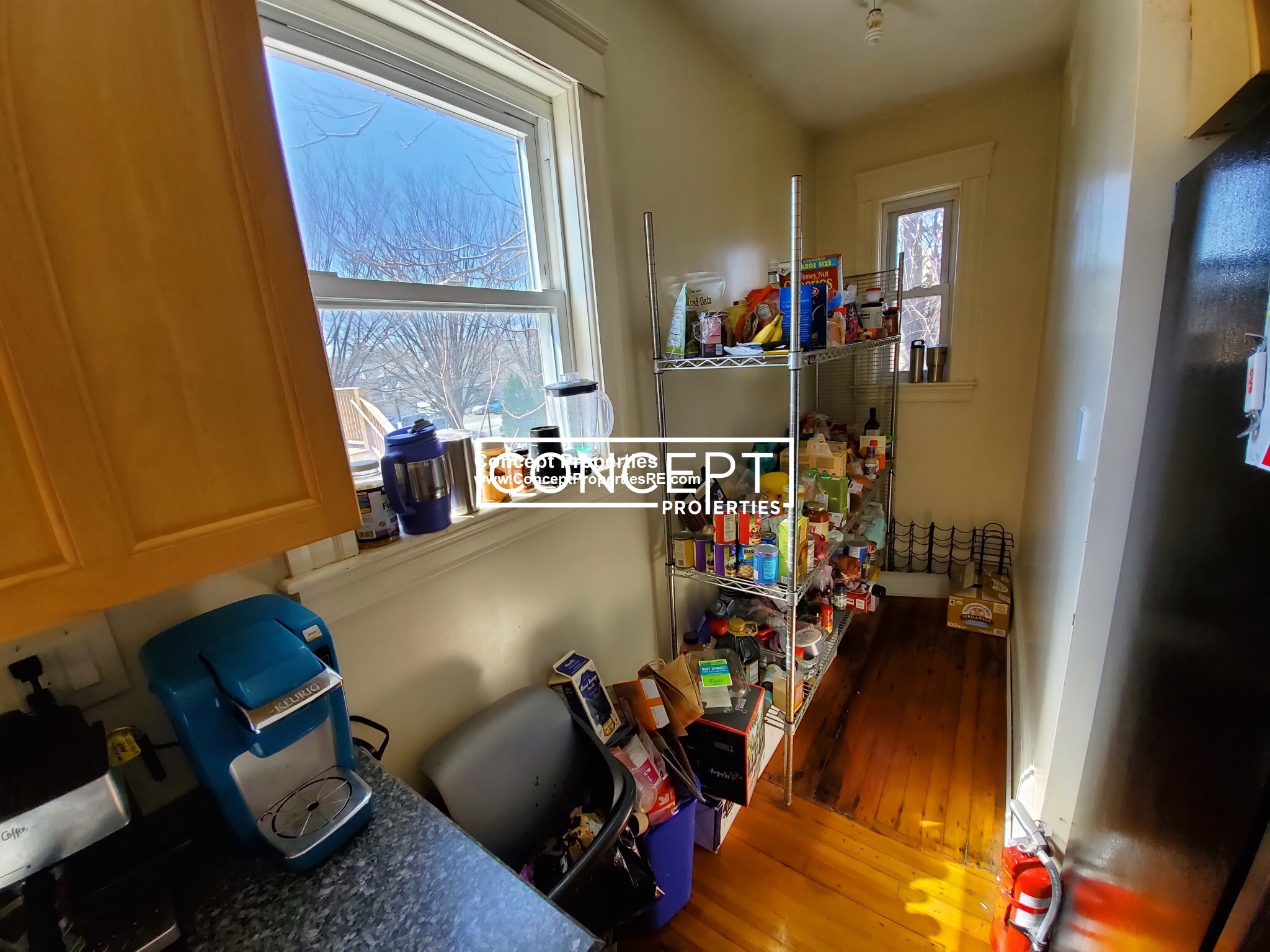 6 Belmont St, Spring Hill