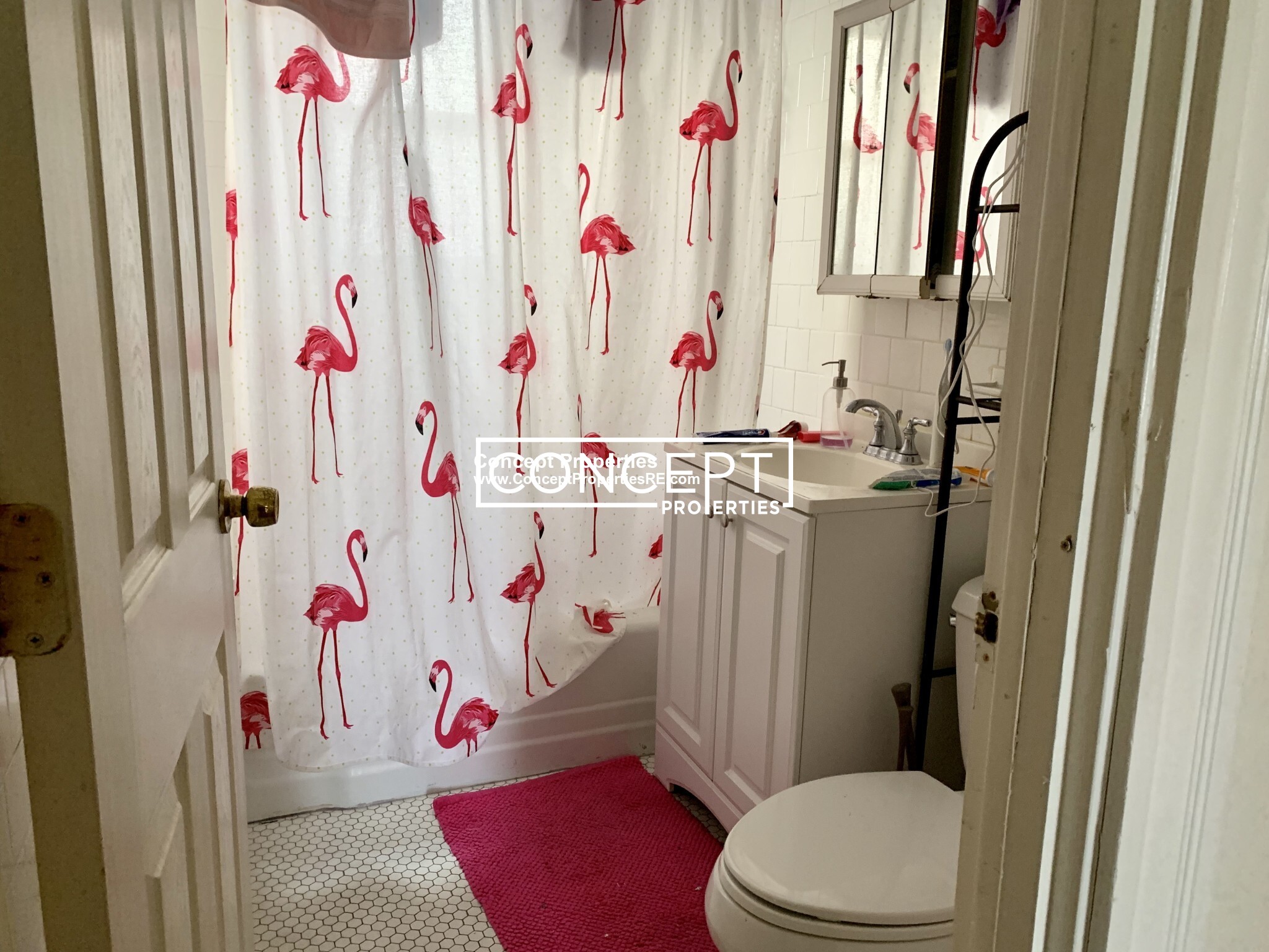 6 Belmont St, Spring Hill